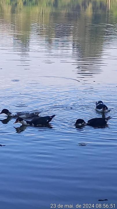 Cabana de pesca e lazer Represa Usina Mafra sc