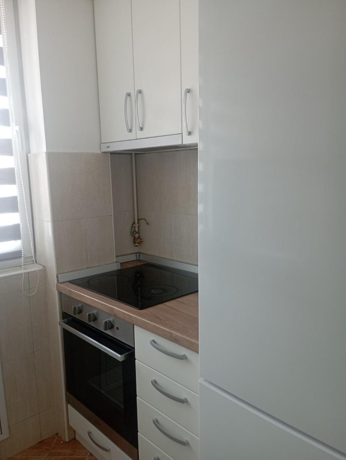 Apartman Dragon Kg view 5