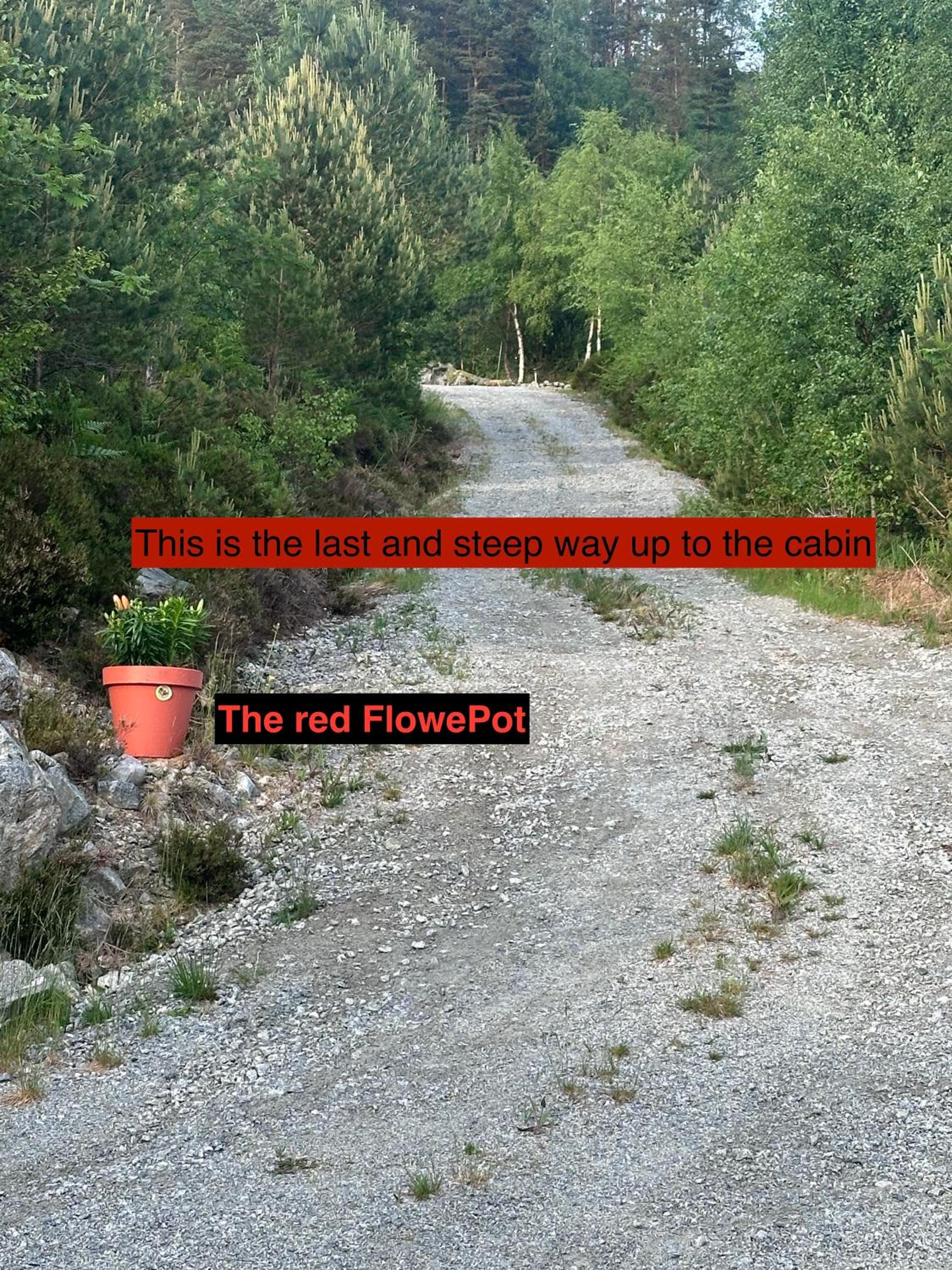 Photo 48