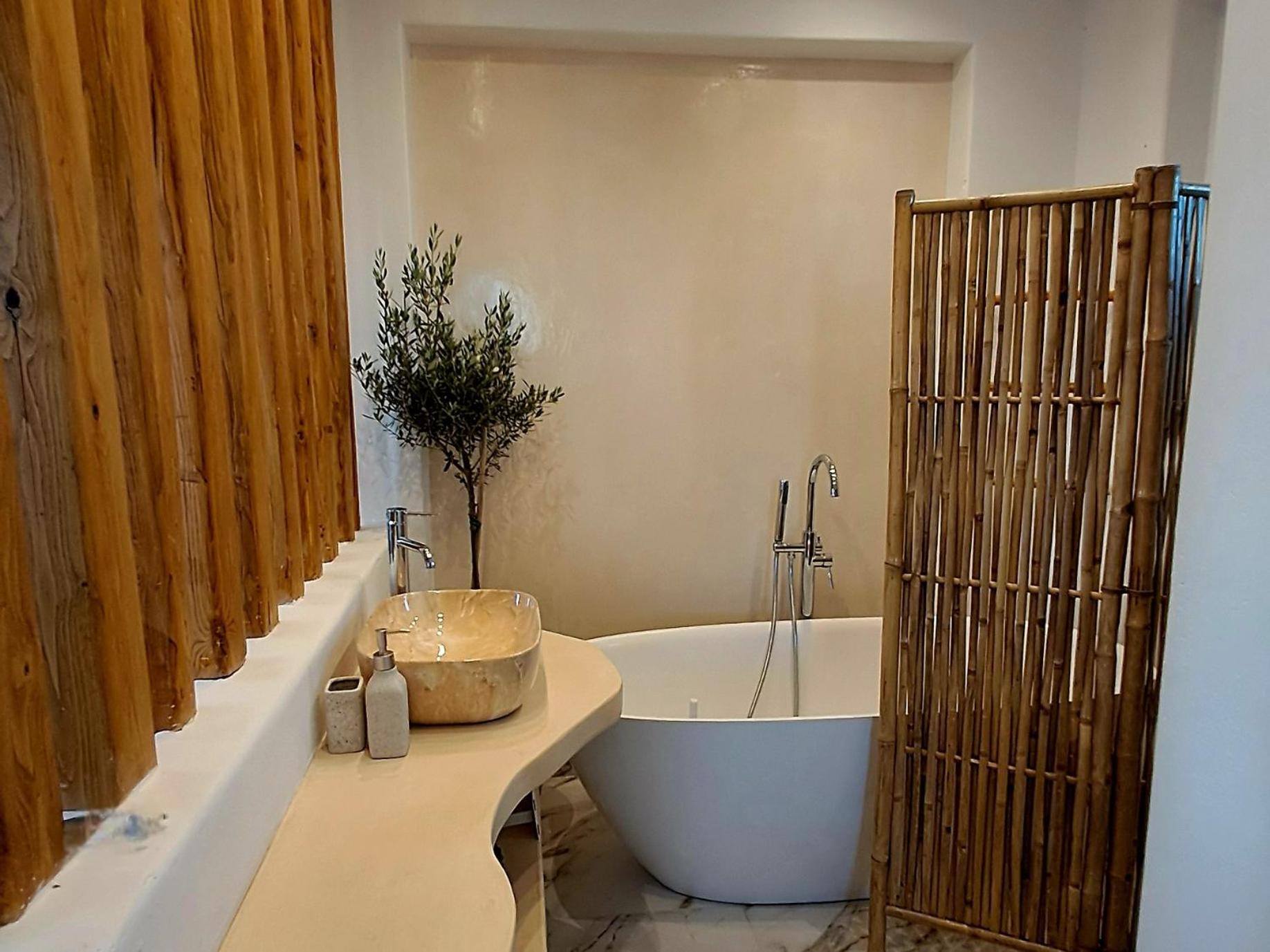 Naxos Beachwalk Villa Plaka view 5