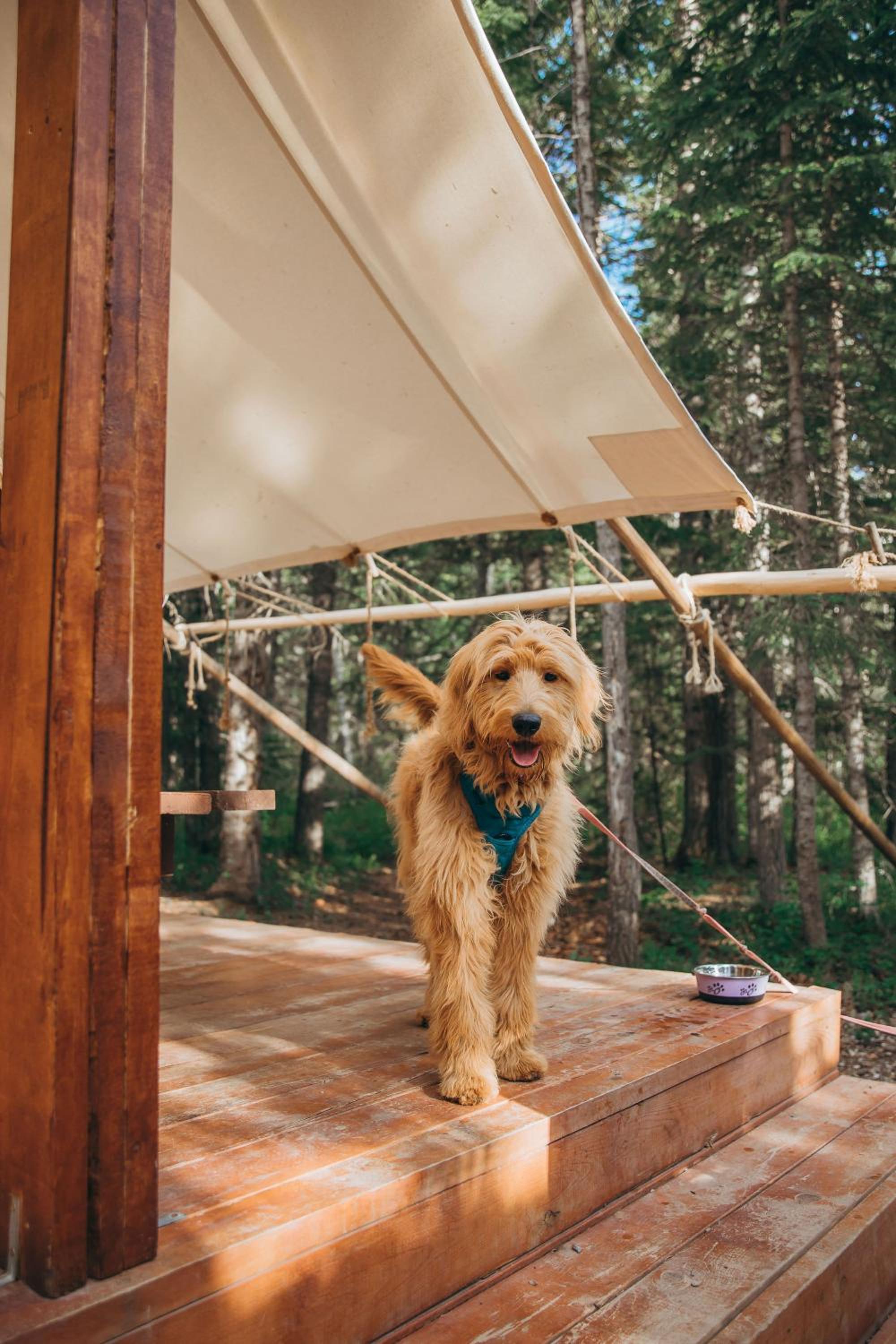 Sundance By Basecamp