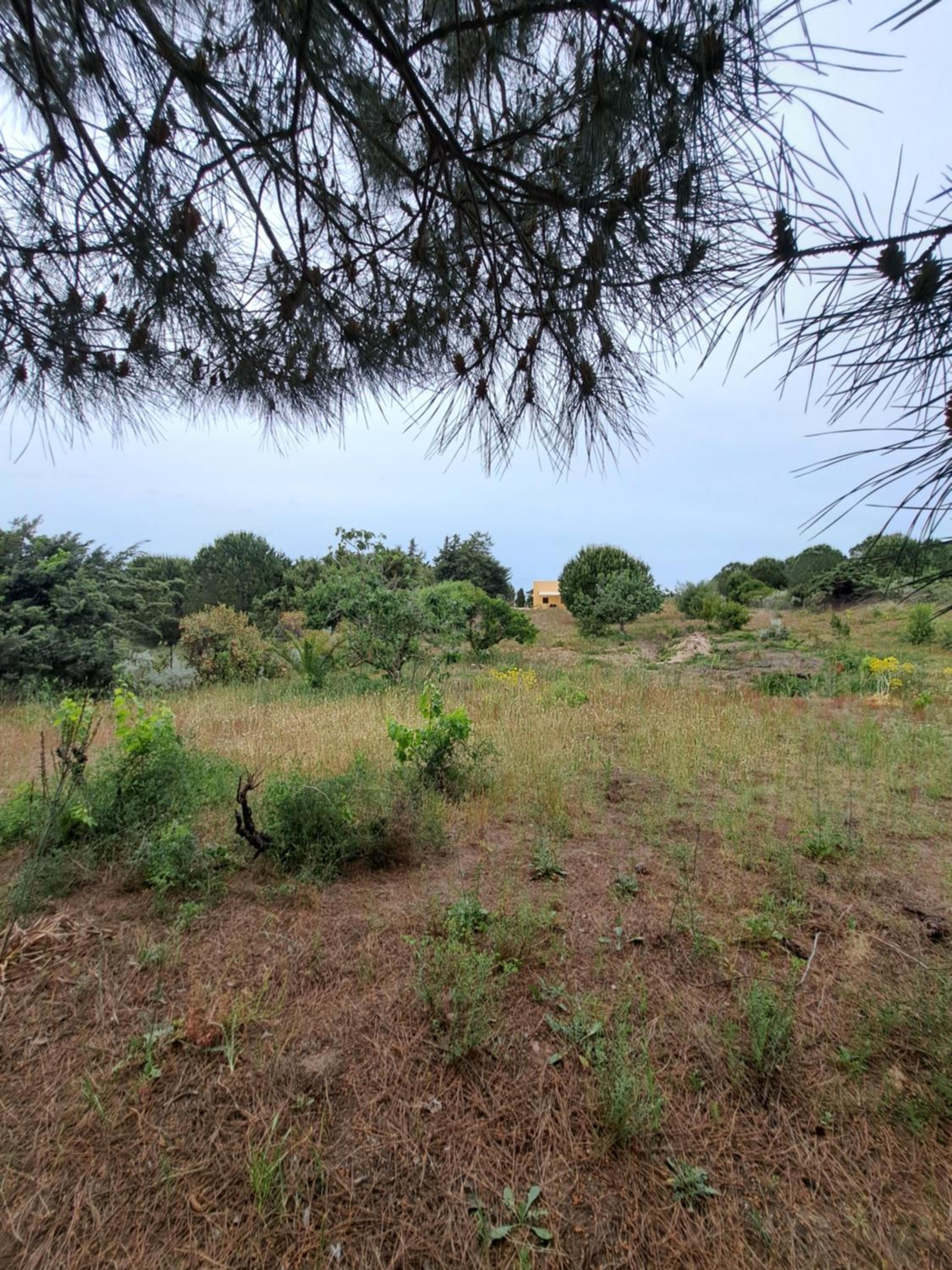 Villa La Luna