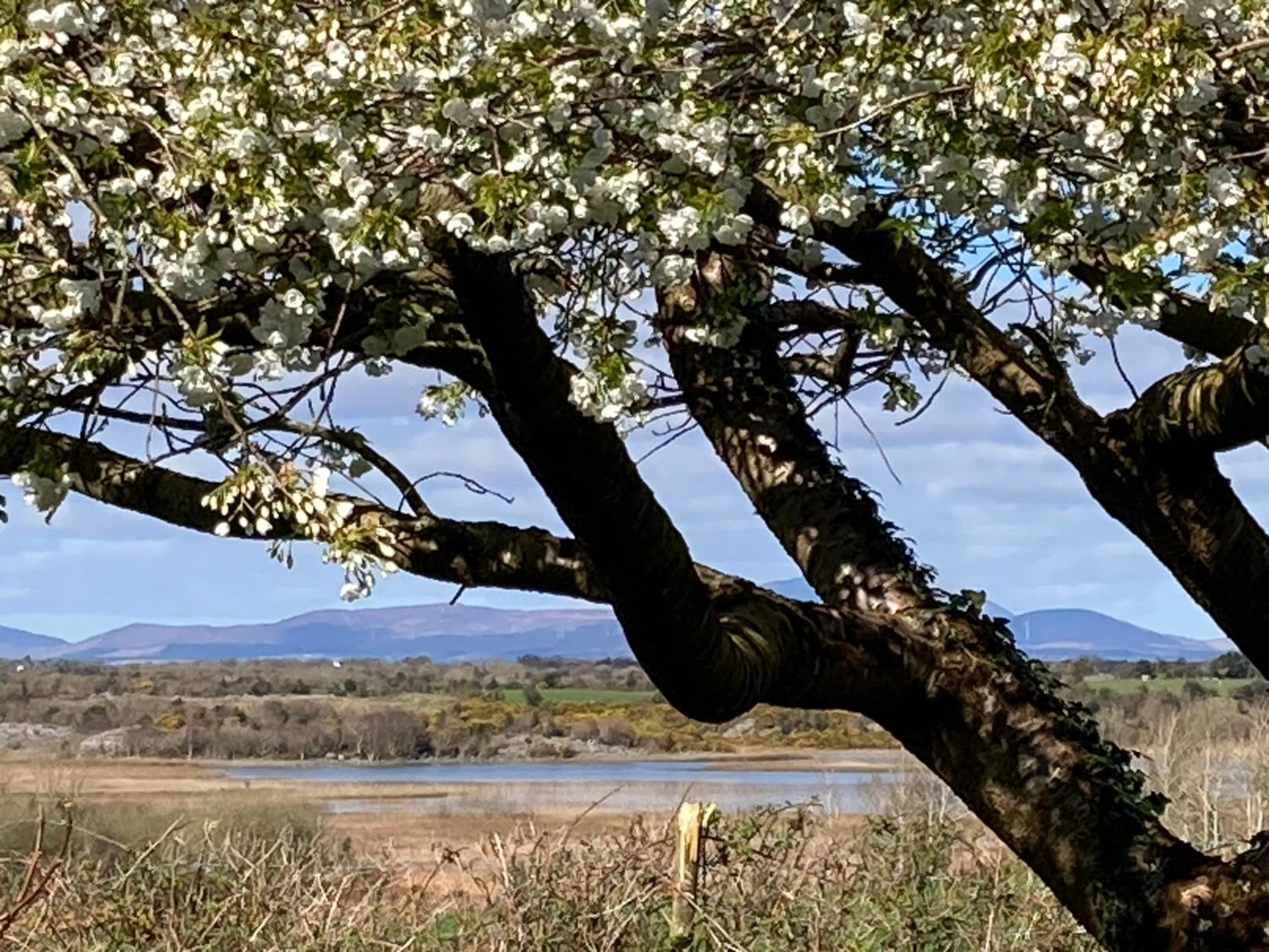 Lough Carra House - Room only with Kitchenette - Property Image 7