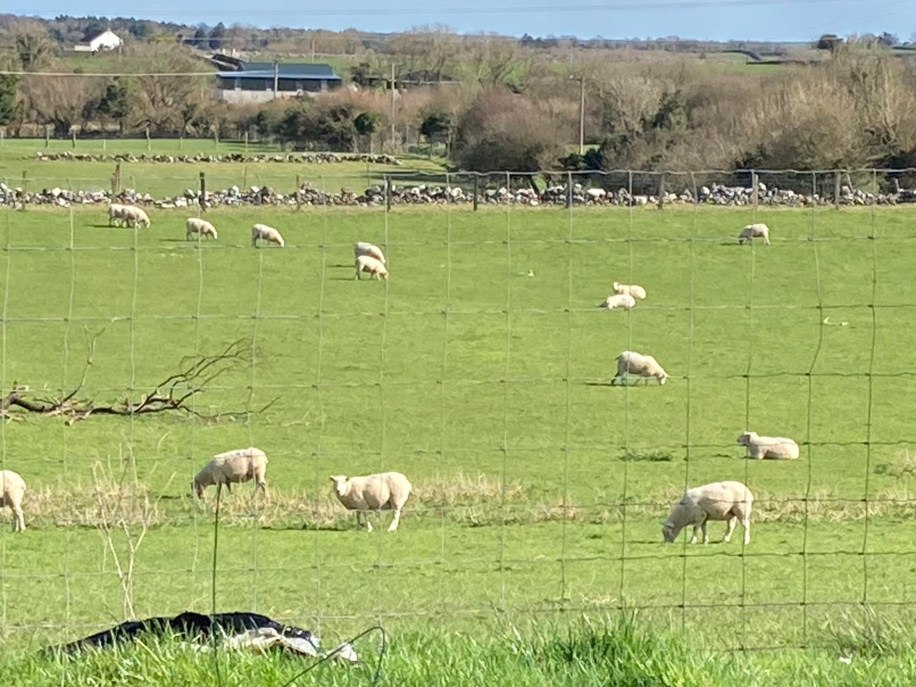 Lough Carra House - Room only with Kitchenette - Property Image 8