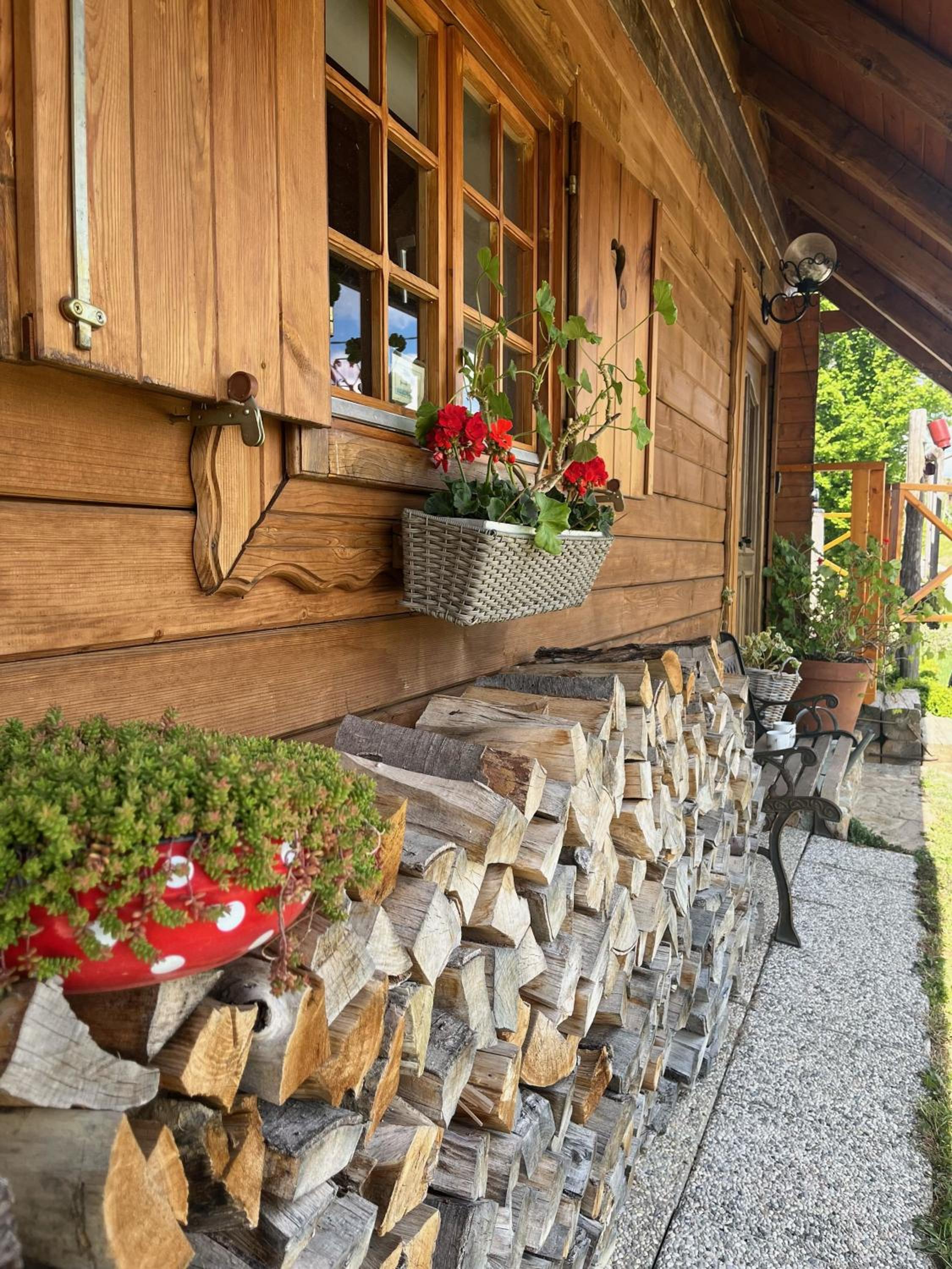 Brunarica Dežno