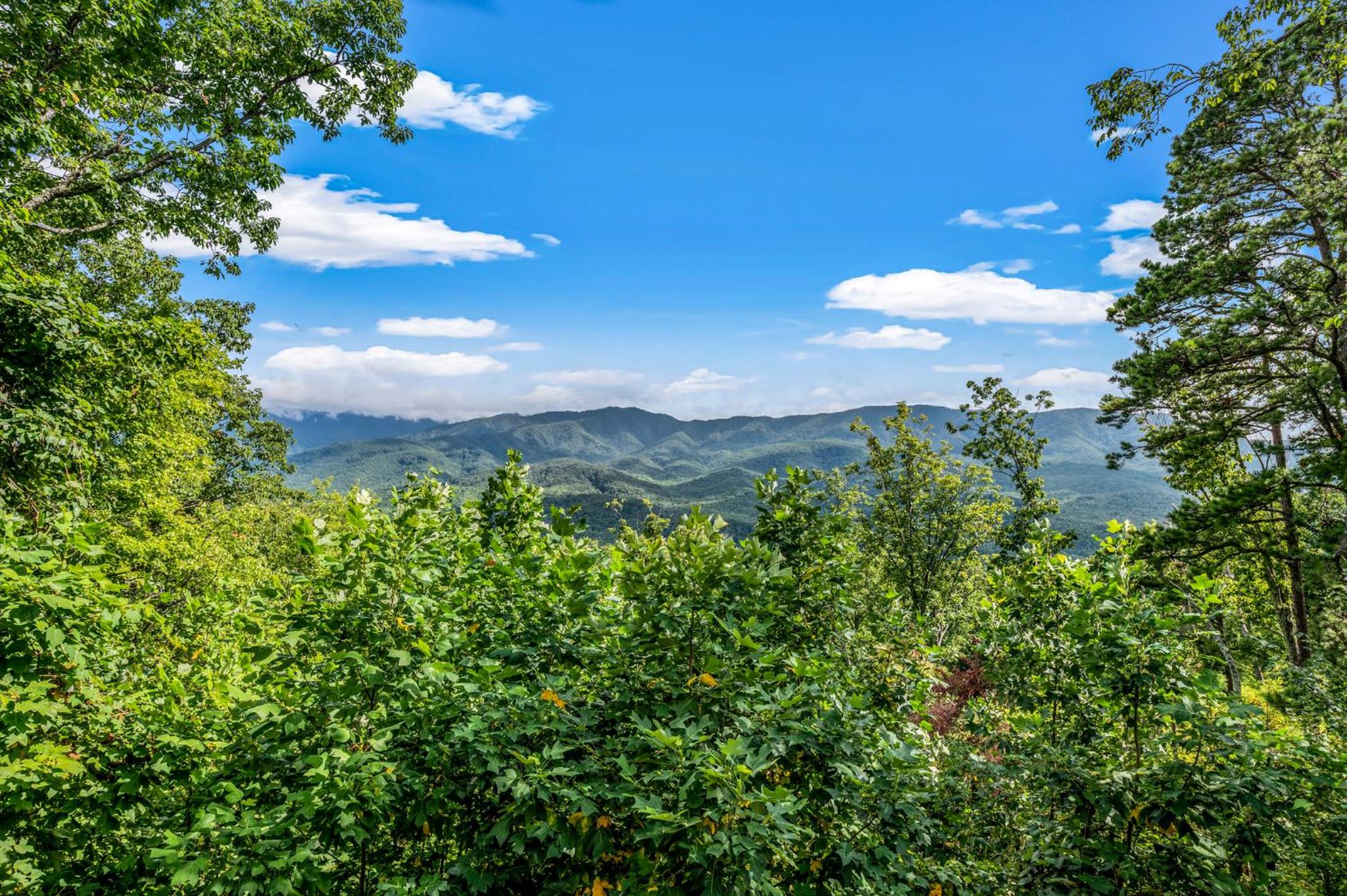 Dancing Bear Lodge by Stony Brook Cabins view 2