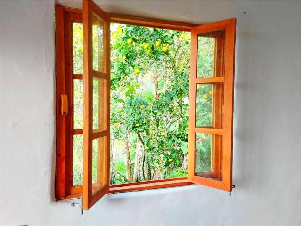 Cabaña las delicias