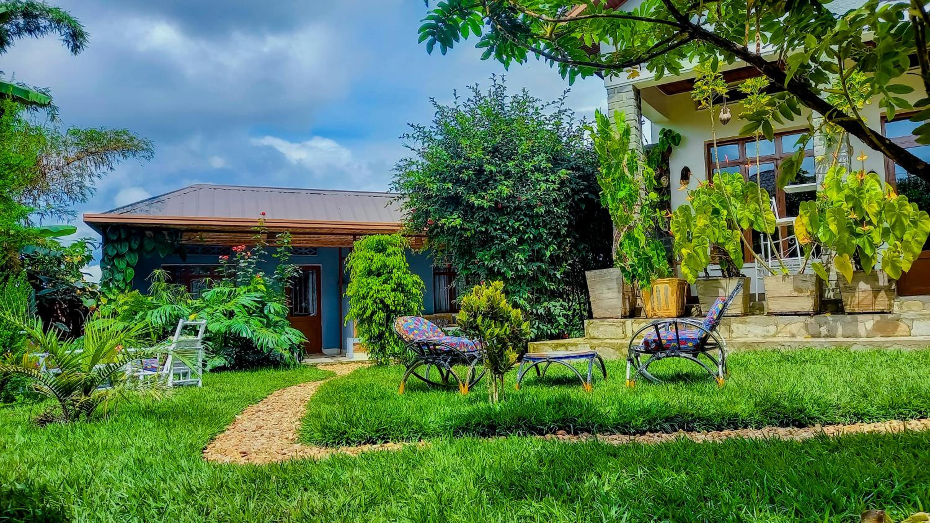 Little Birds Paradise view 4