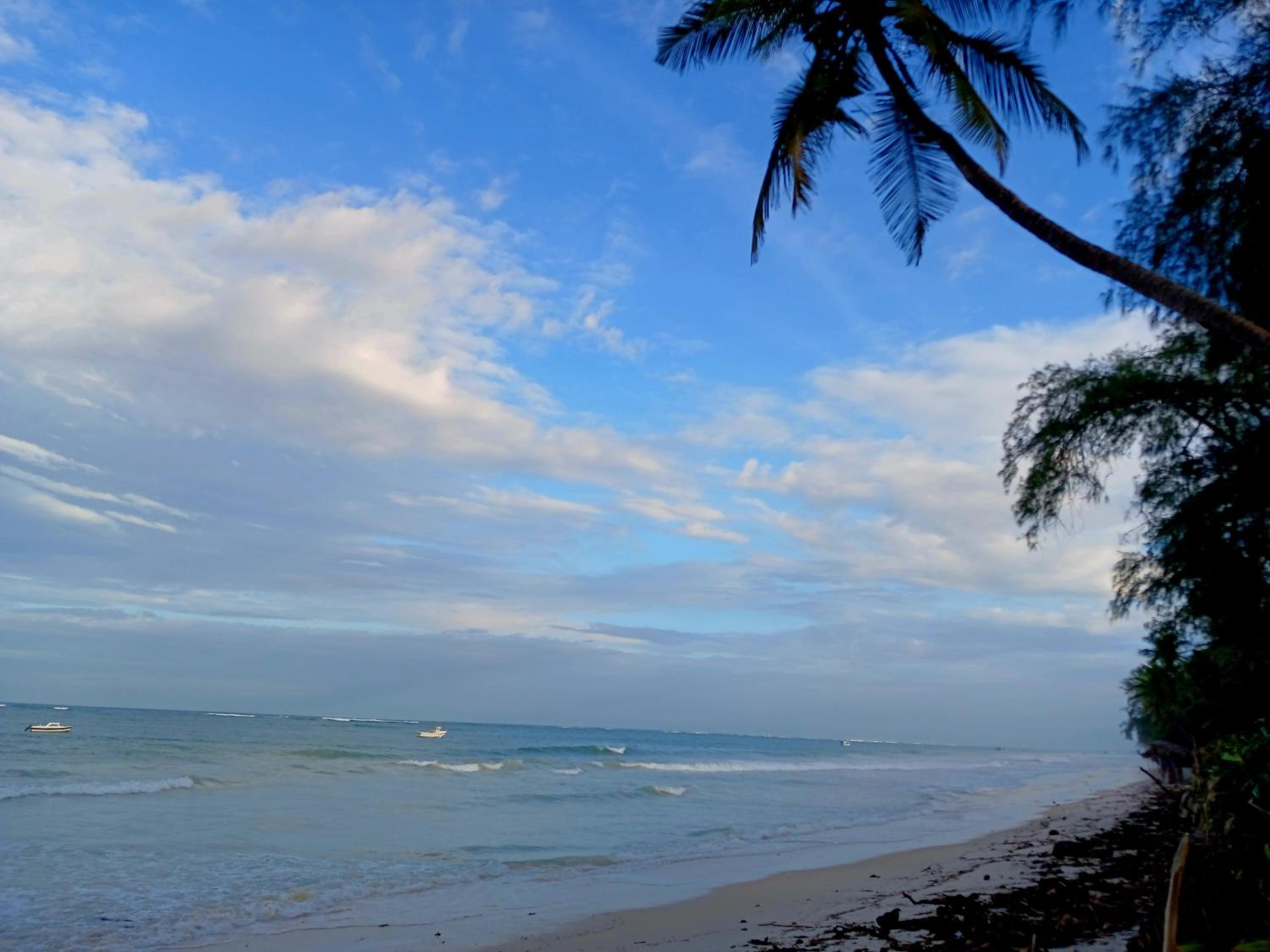 The Tree House Diani Beach Calm Living Kenya view 3