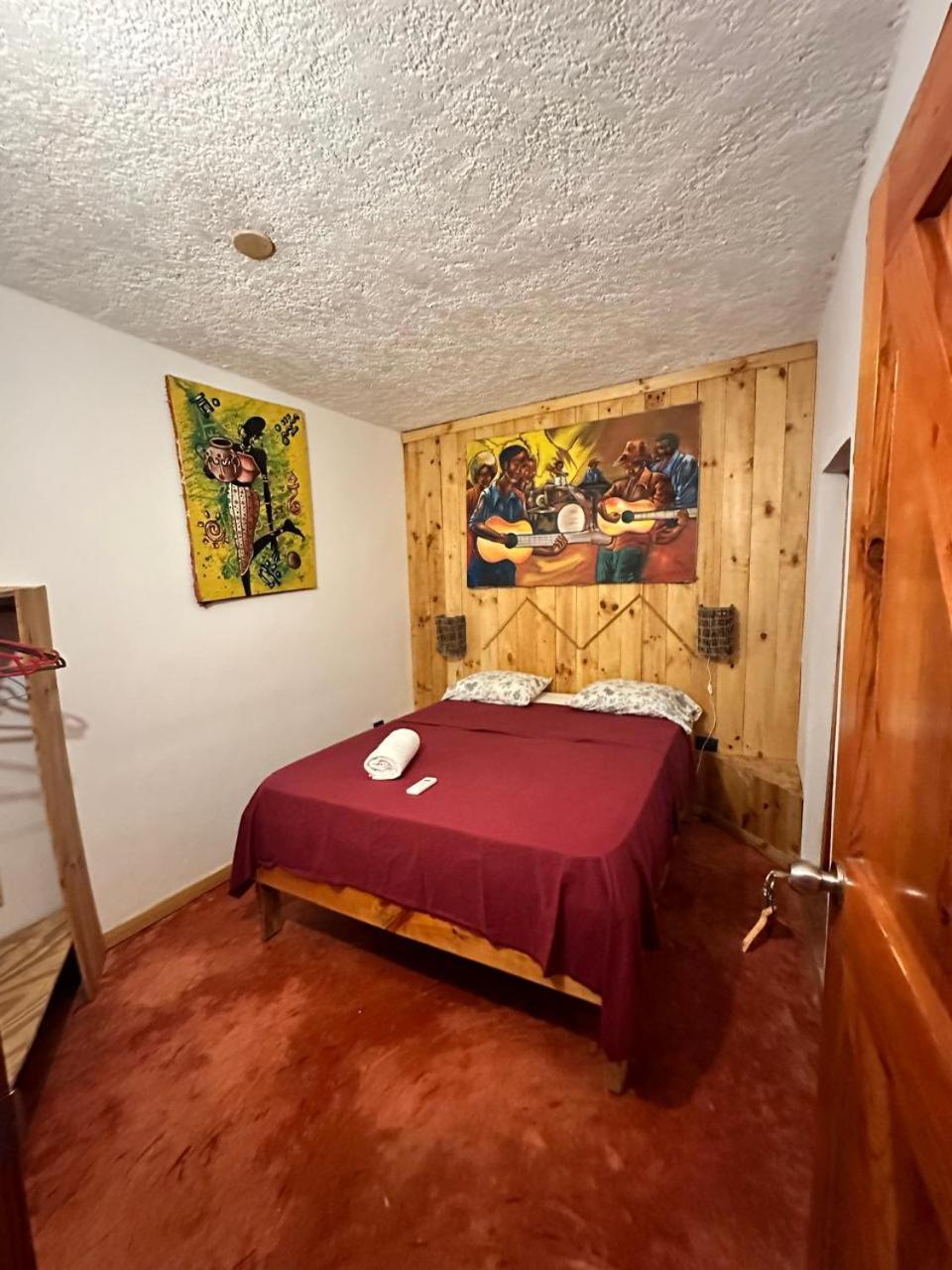 Hostel La Ballena Backpacker