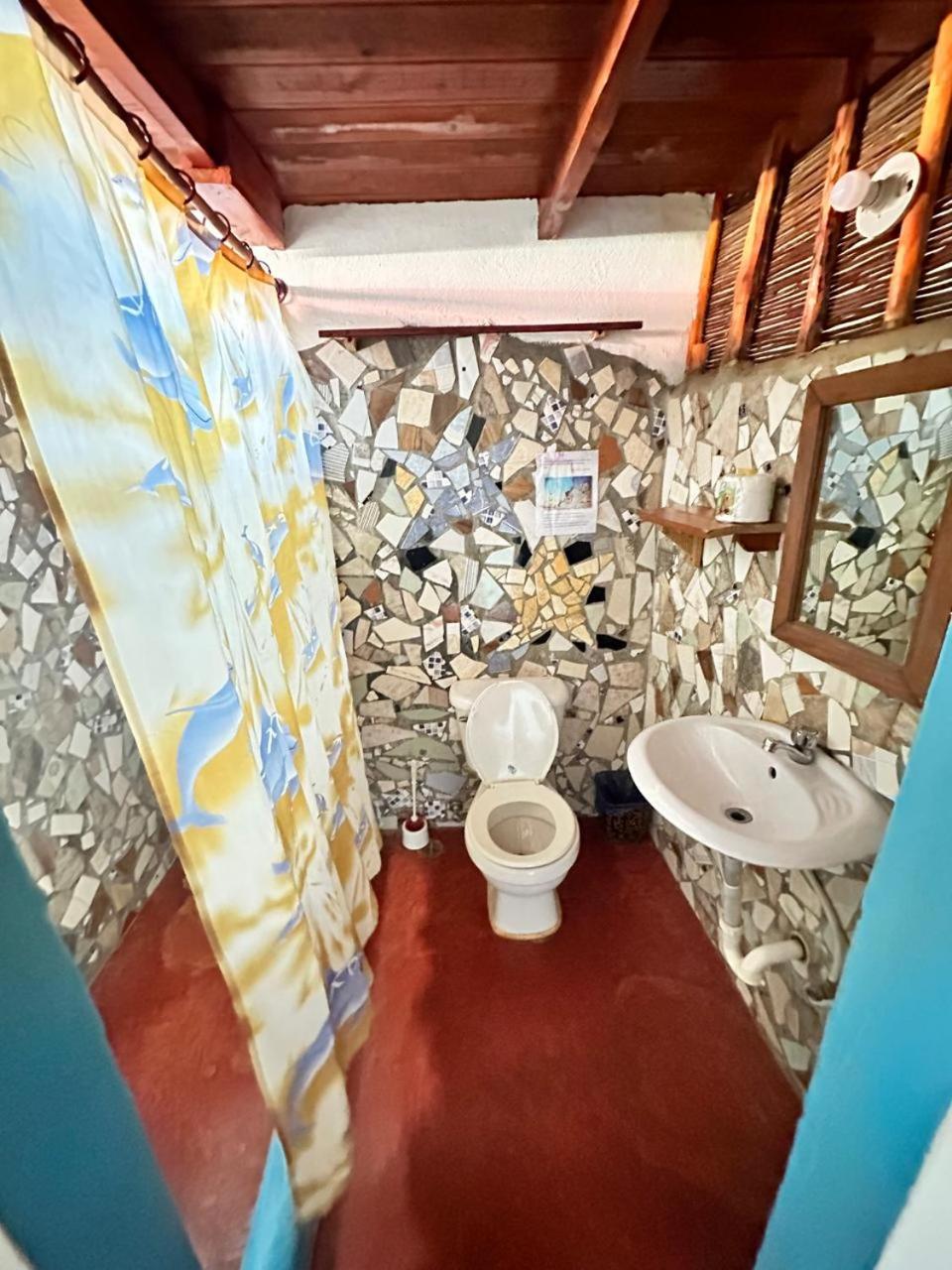 Hostel La Ballena Backpacker