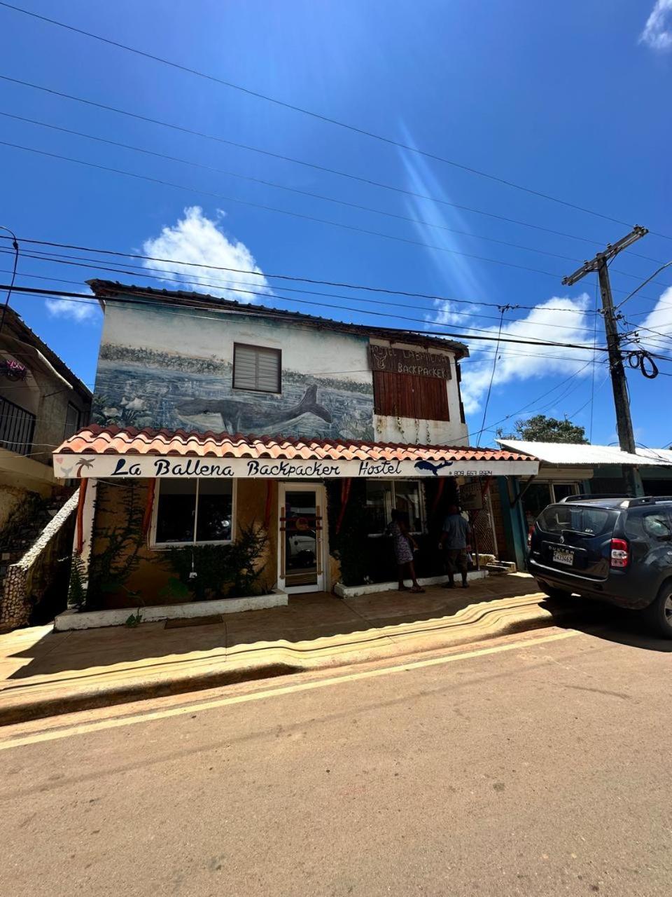 Hostel La Ballena Backpacker