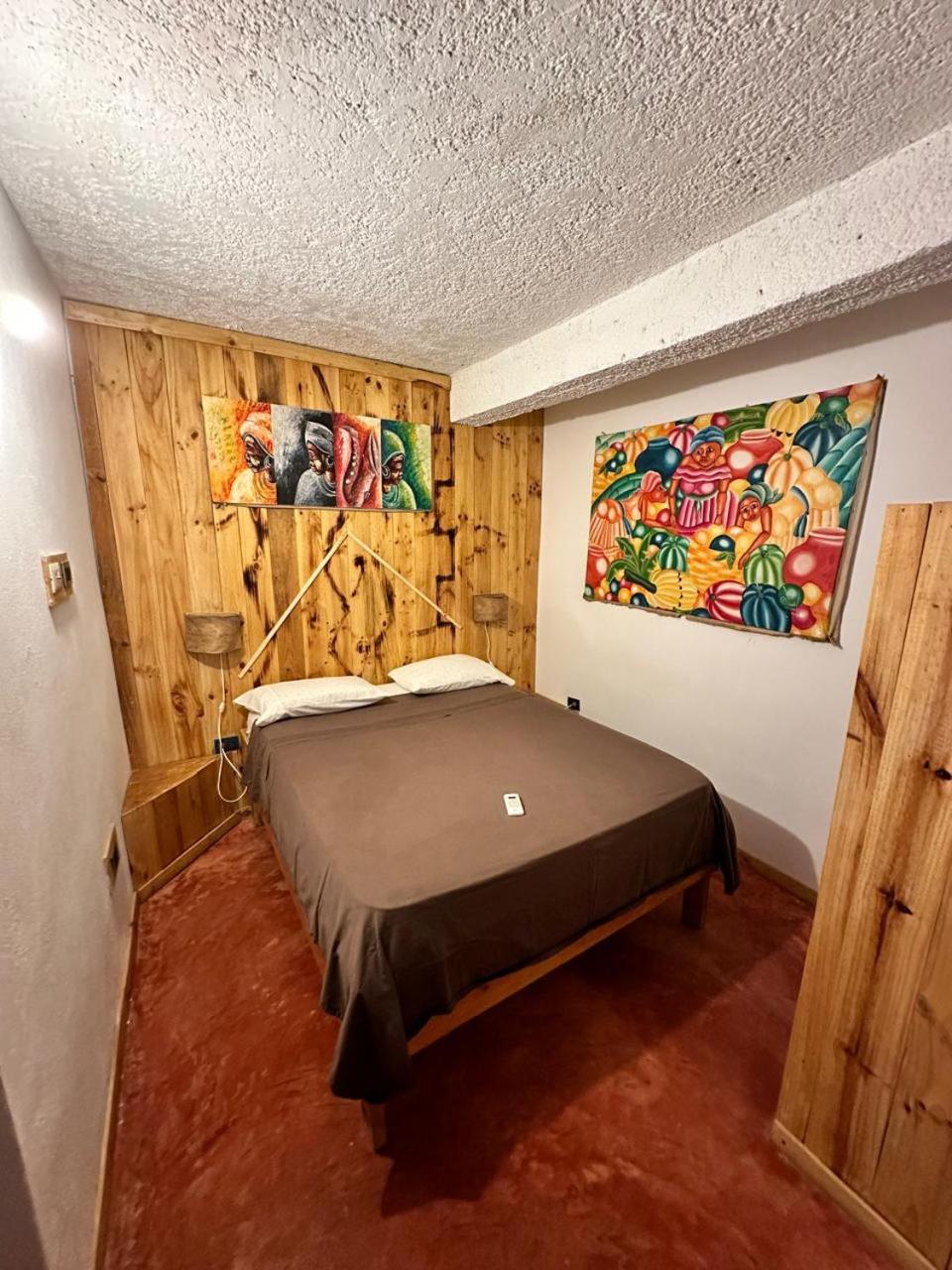Hostel La Ballena Backpacker