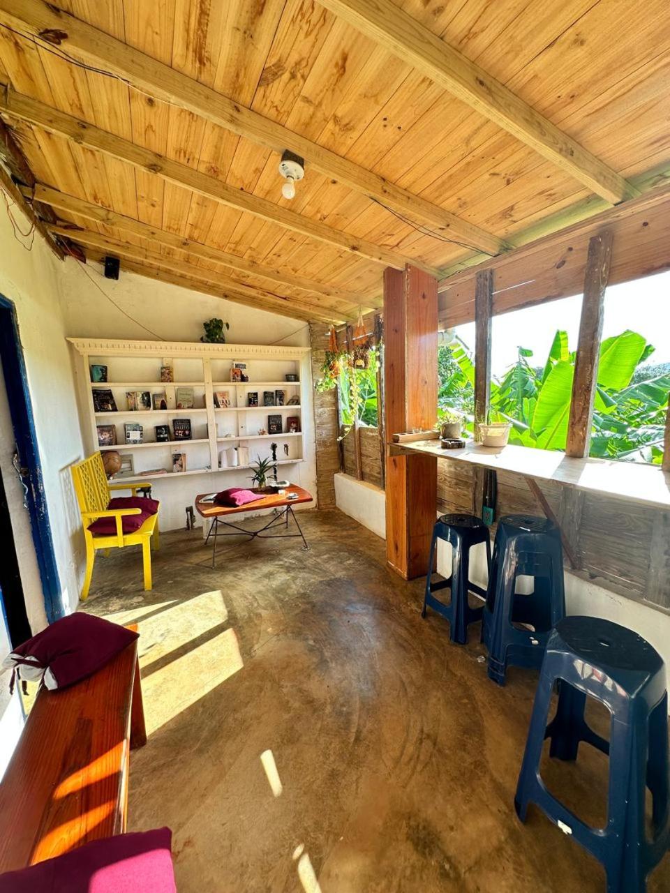 Hostel La Ballena Backpacker