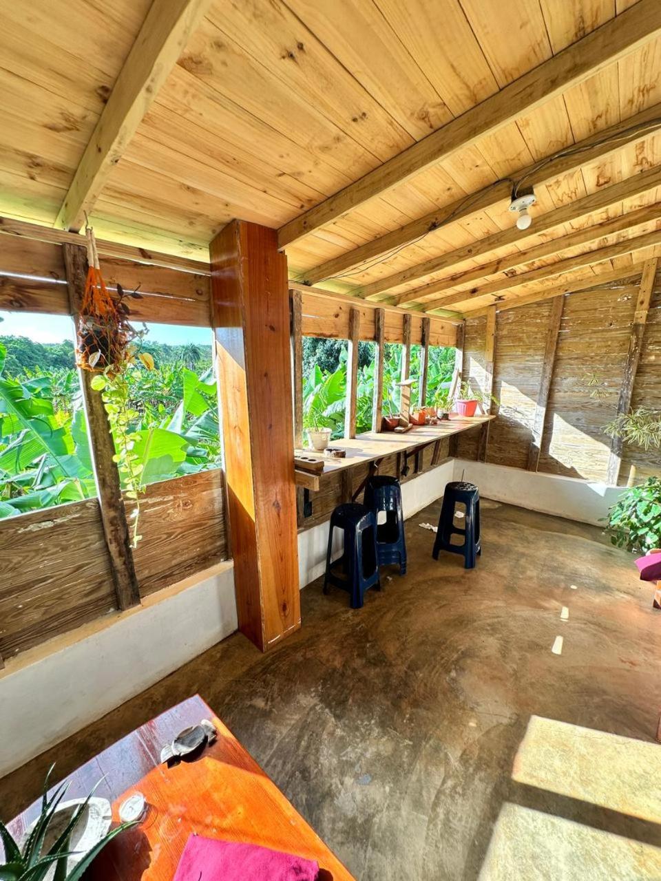 Hostel La Ballena Backpacker