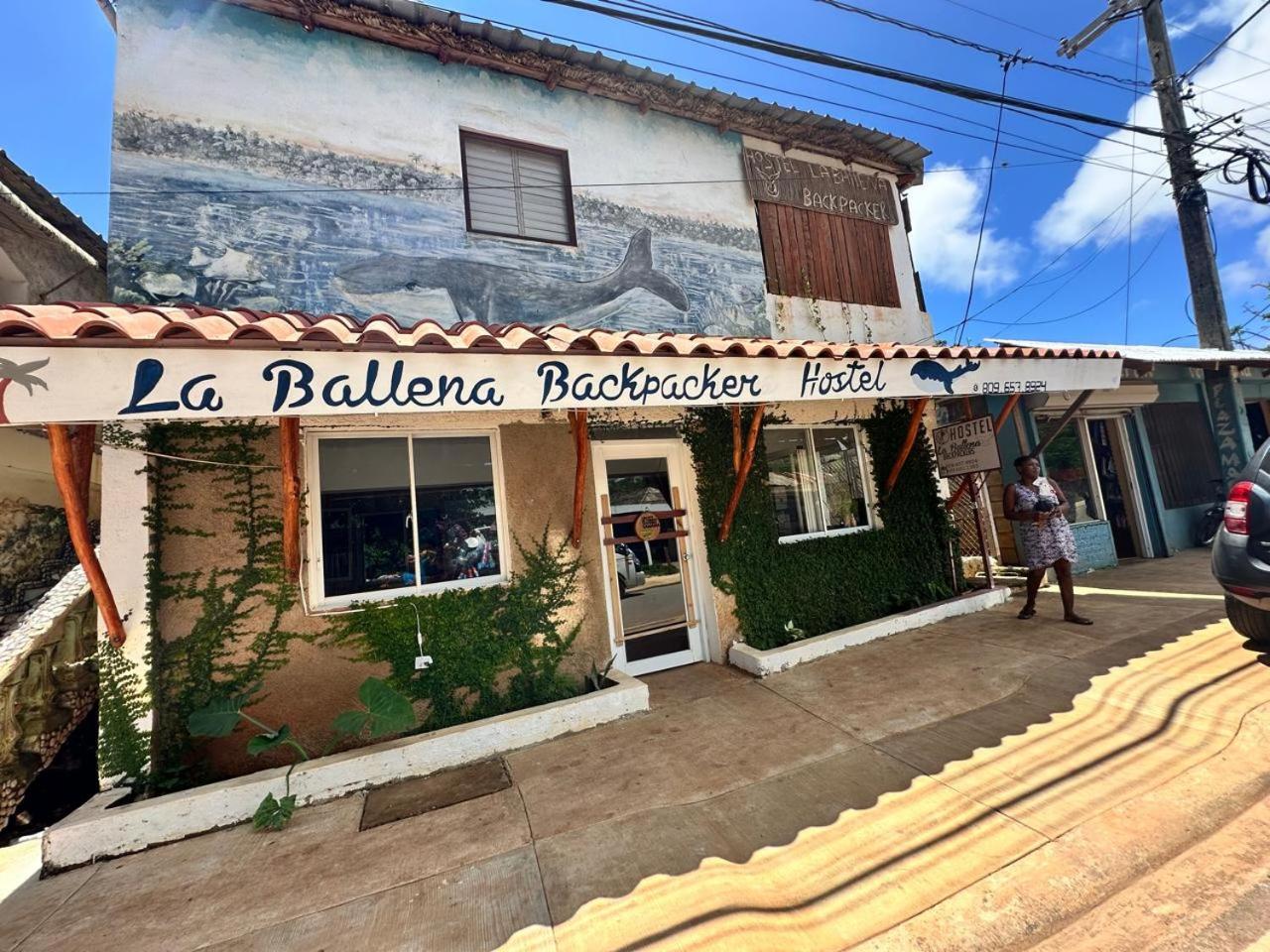 Hostel La Ballena Backpacker