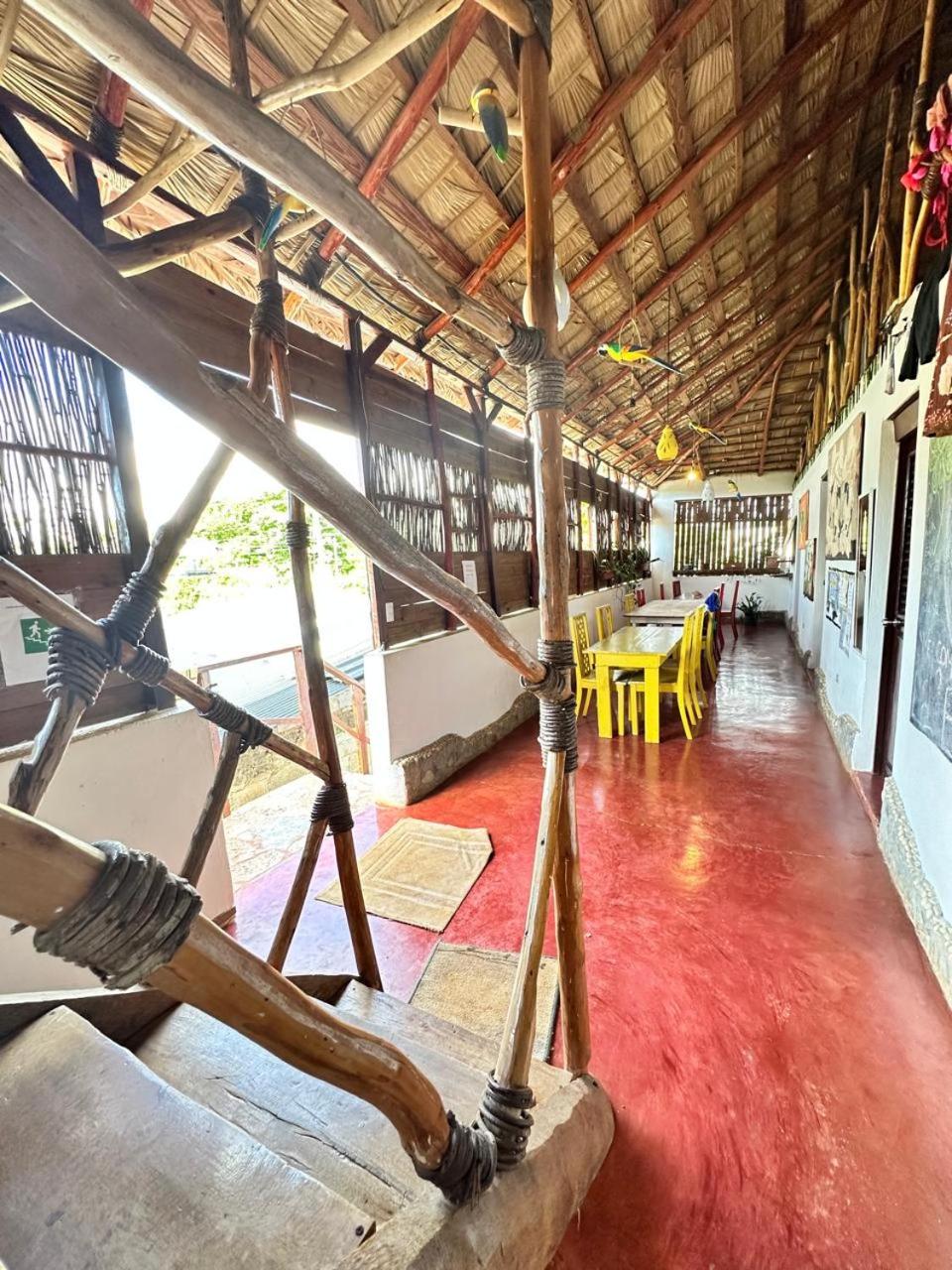 Hostel La Ballena Backpacker