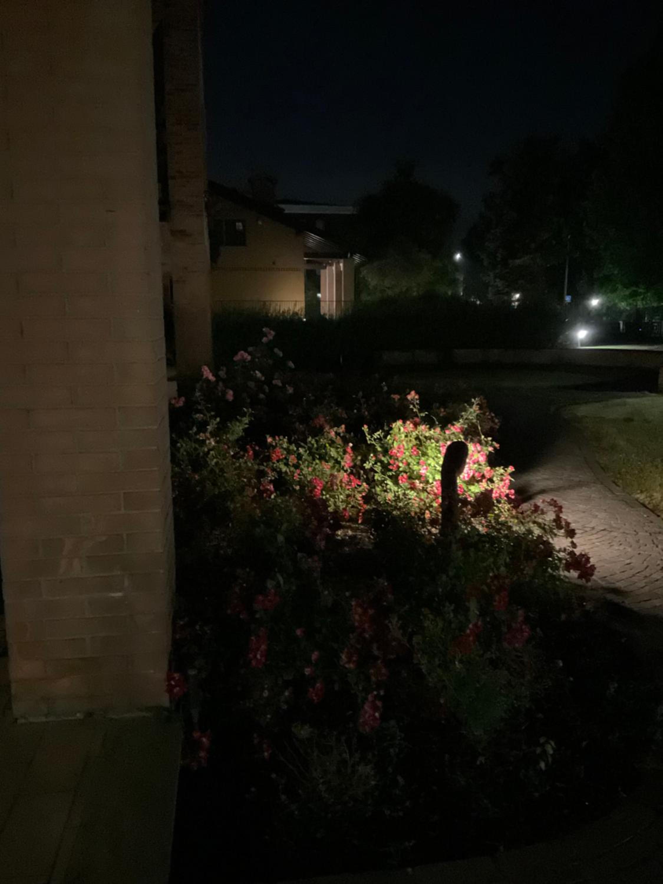 DOLCE CASA