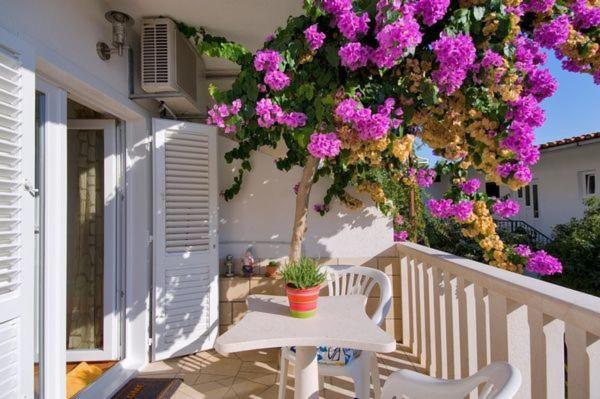 Apartments Lucija view 2