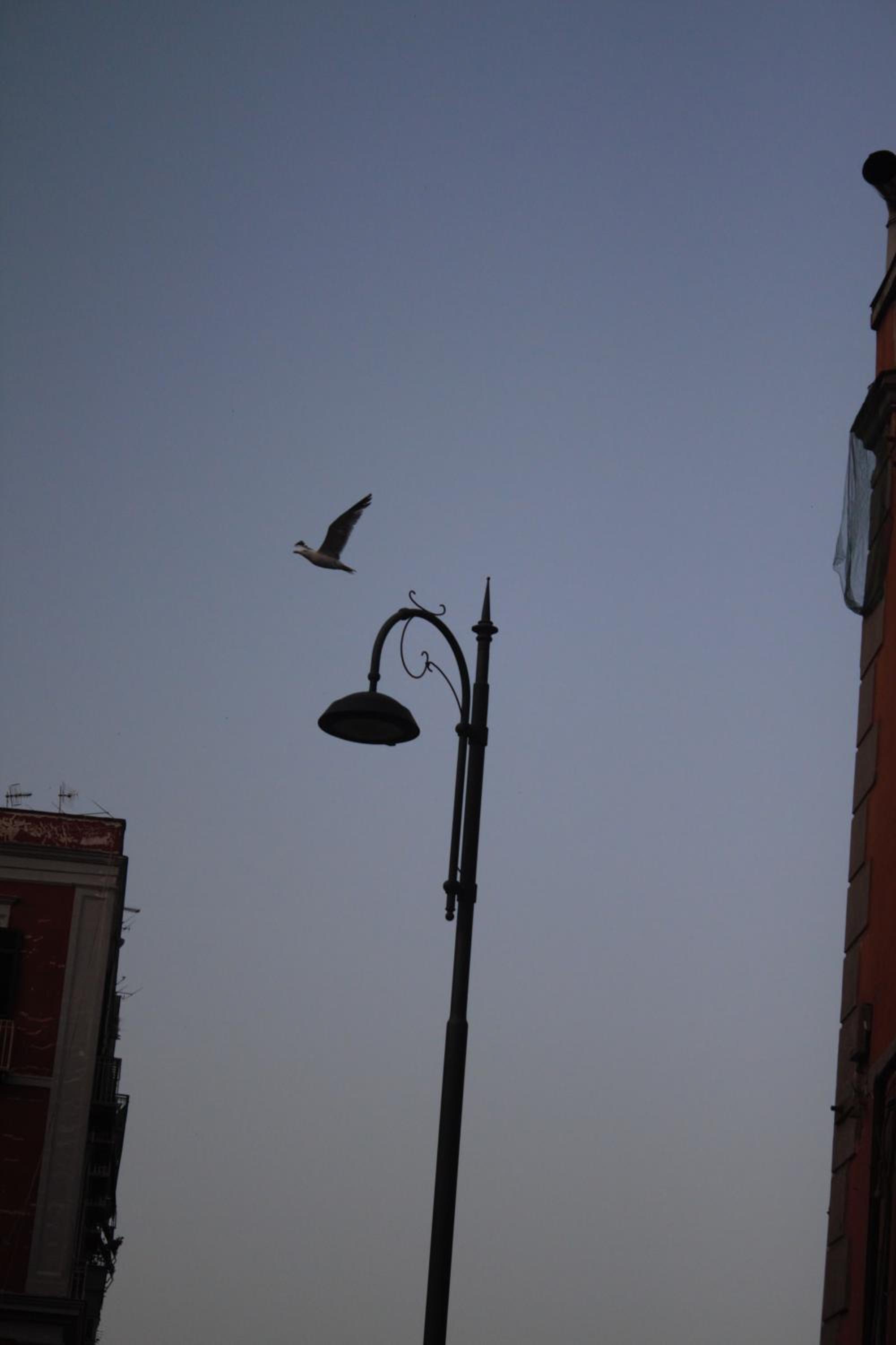 A casa nostra
