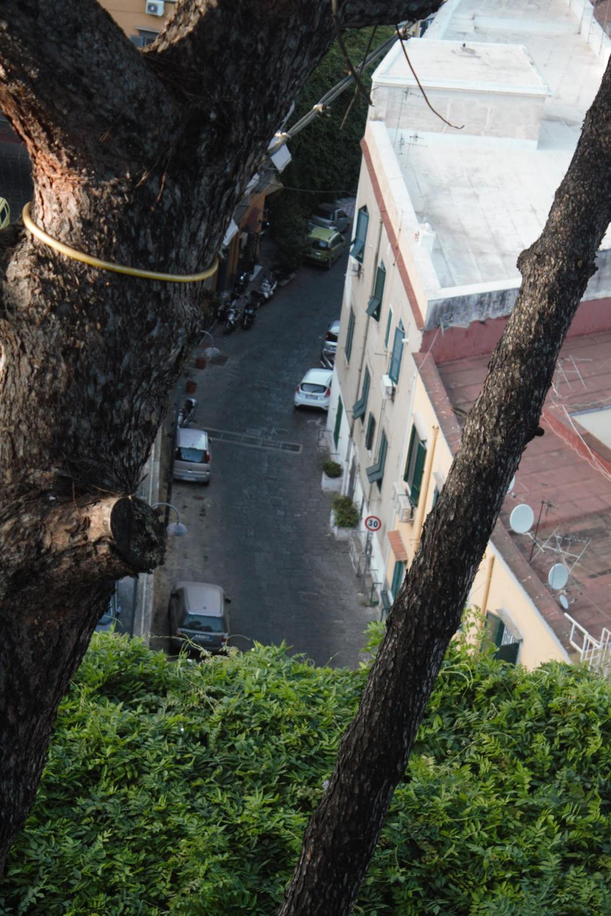 A casa nostra