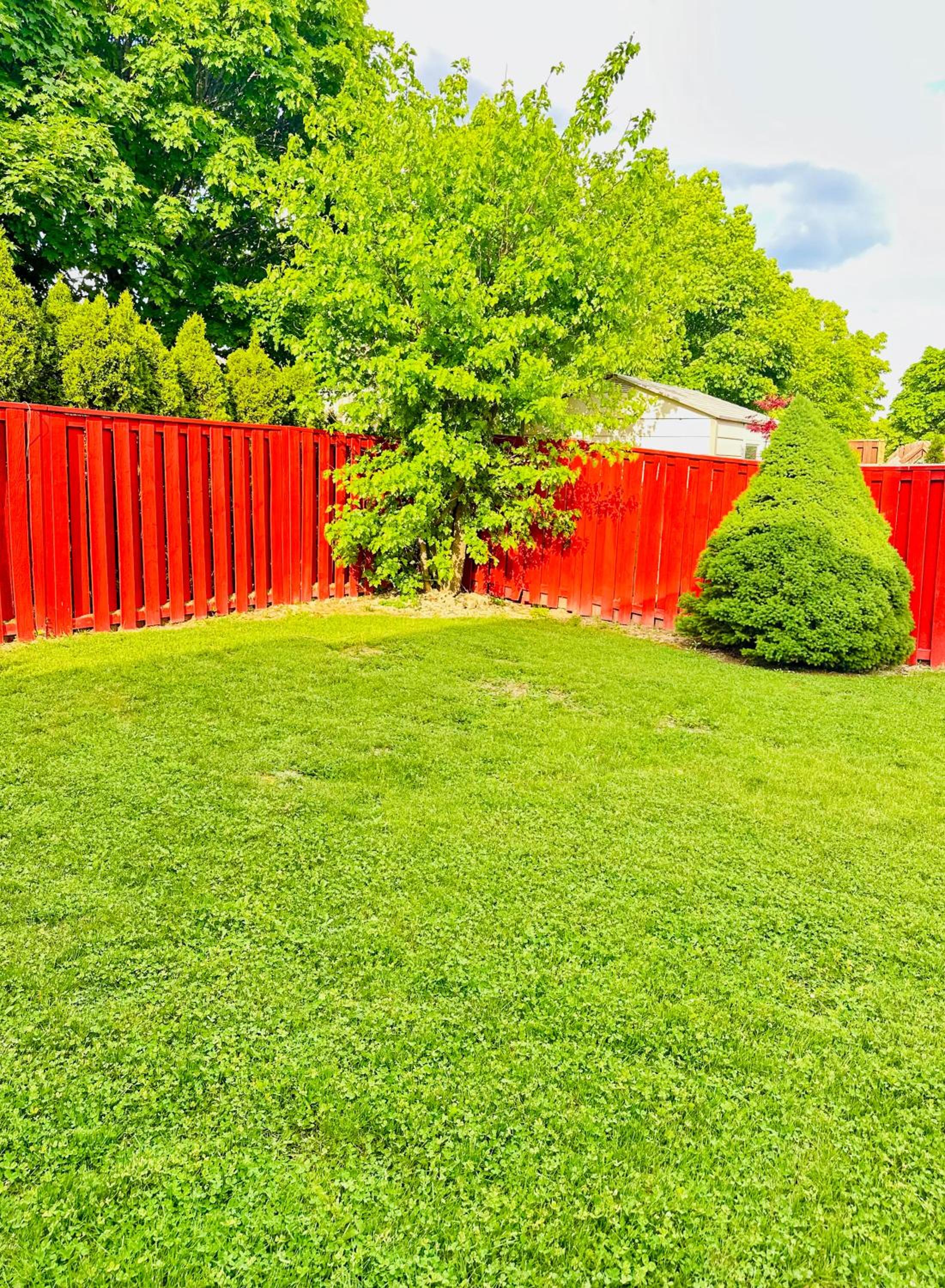 Spacious 2 Bedroom 1 bath Mississauga Basement Apartment