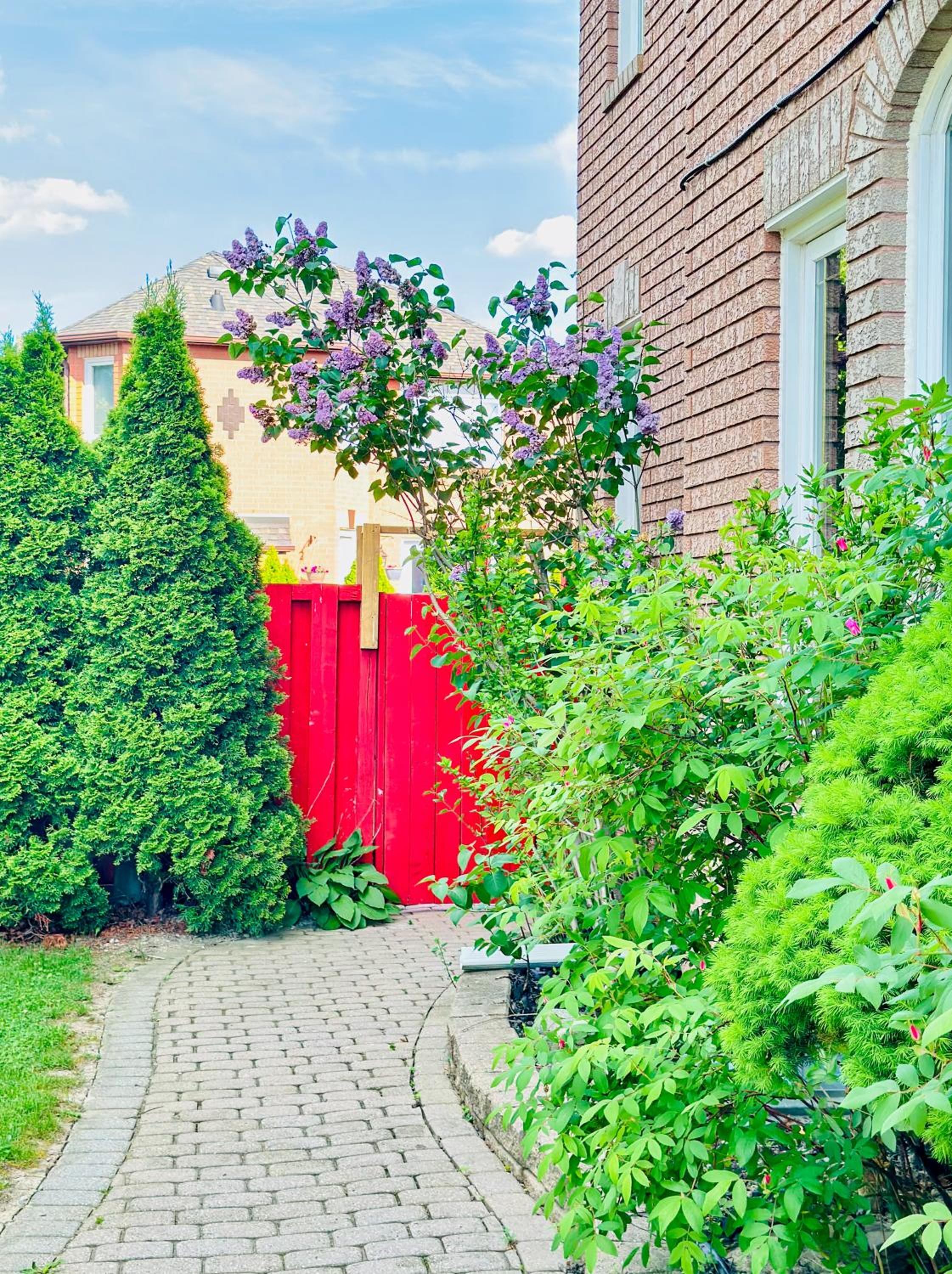 Spacious 2 Bedroom 1 bath Mississauga Basement Apartment