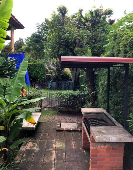 Photo 7