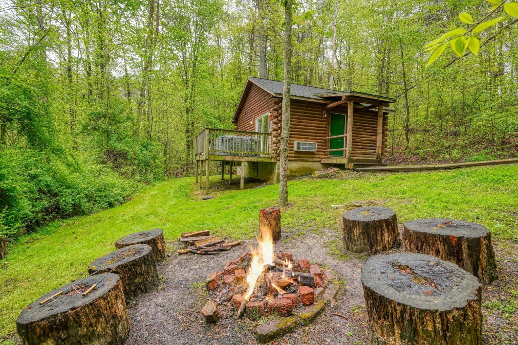 Blue Rose Cabins - Big Woody Cabin view 2