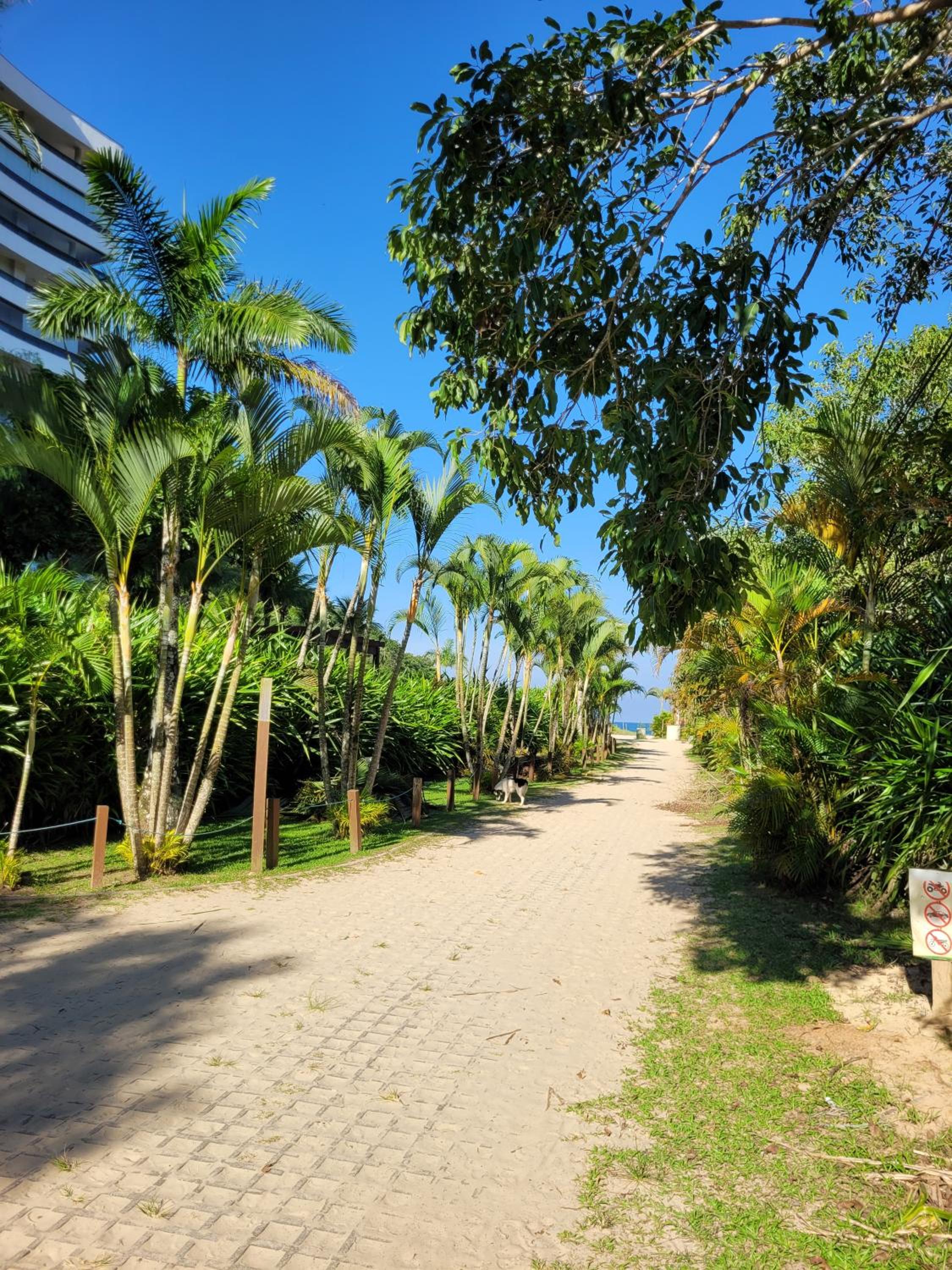 Apartamento pé na areia São Lourenço
