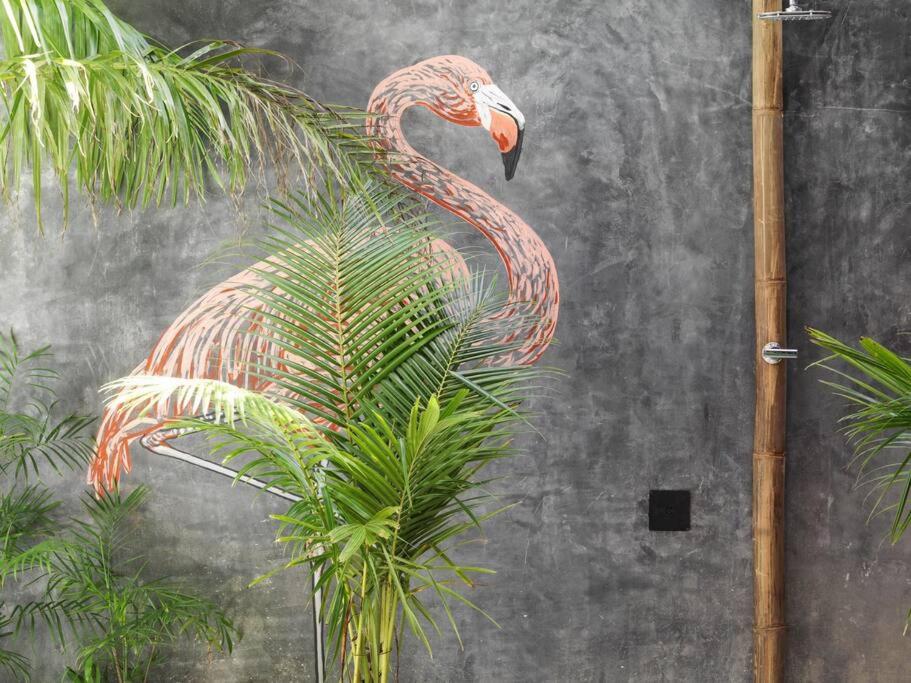 White Elephant Casa Boutique Tulum view 2