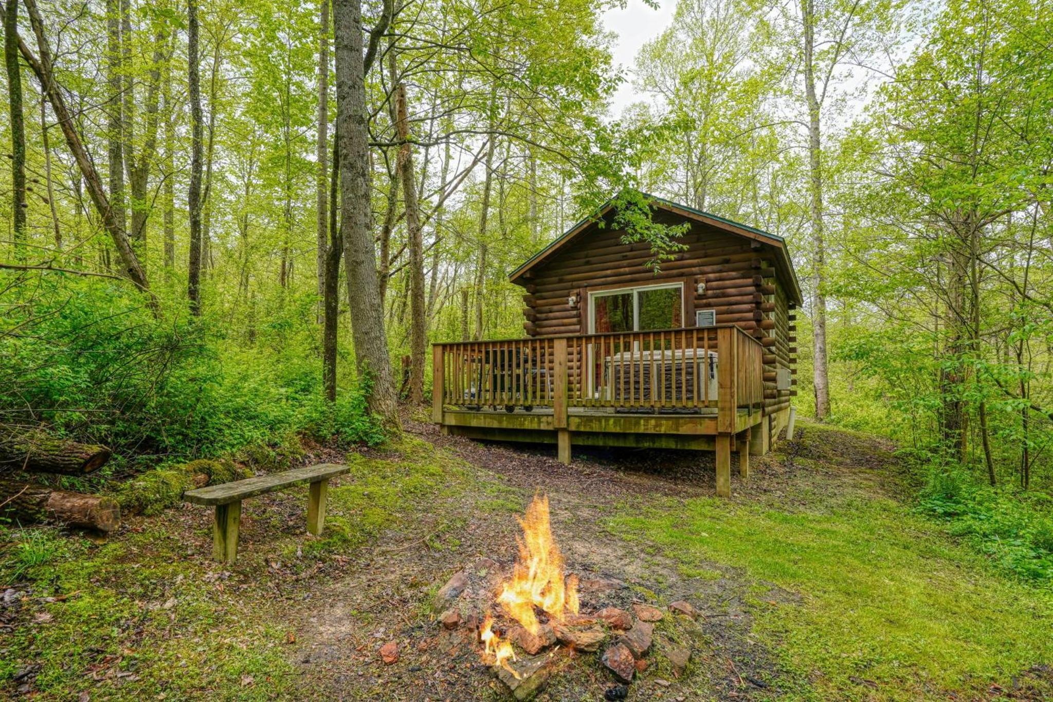 Blue Rose Cabins - Cozy Cabin view 5