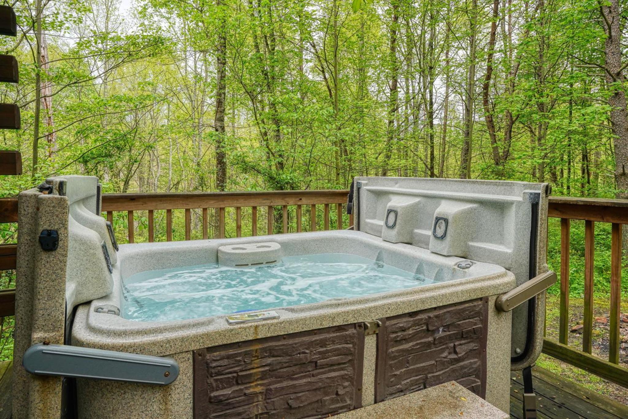 Blue Rose Cabins - Cozy Cabin view 2