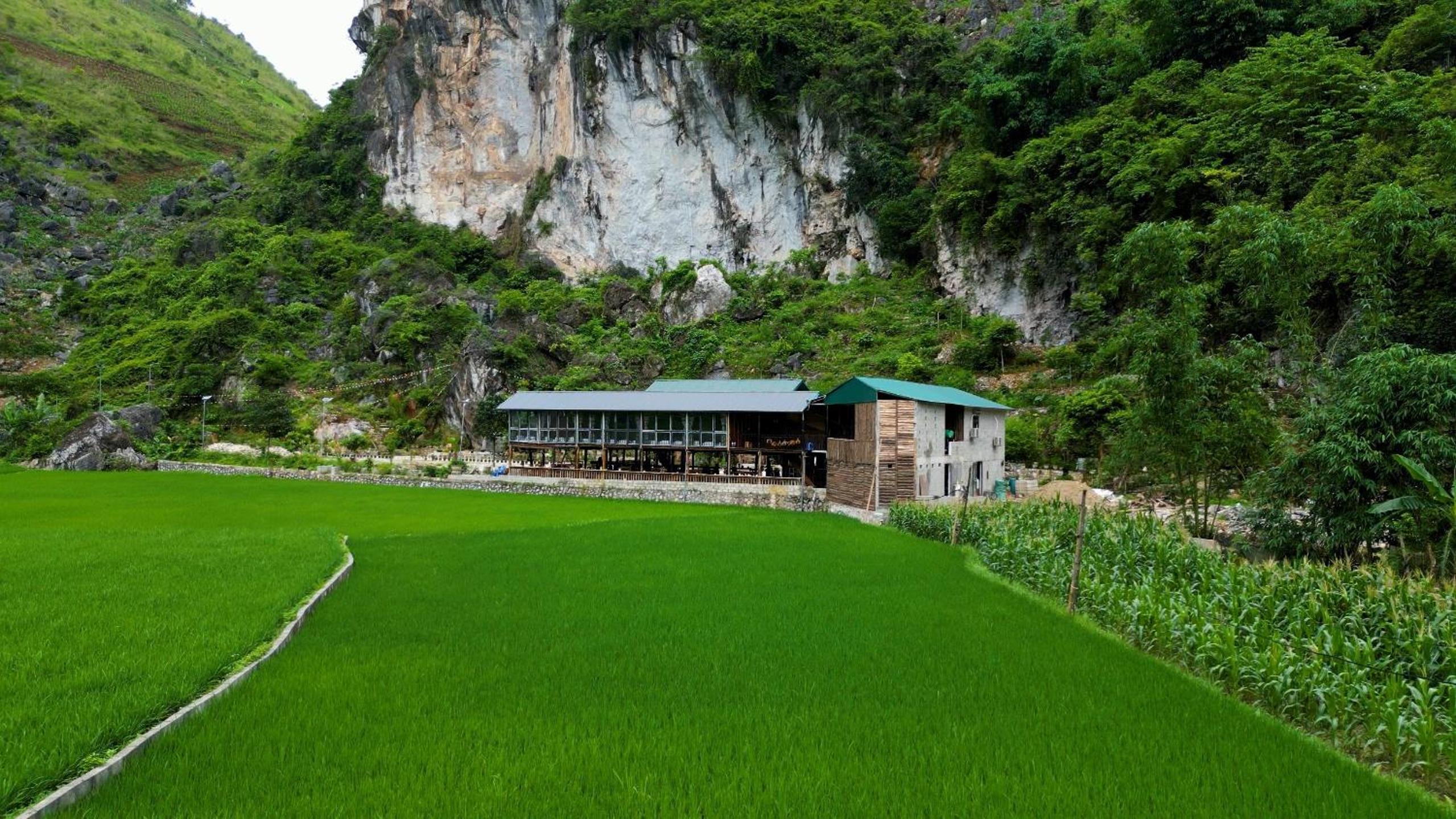 Homestay Tommy House