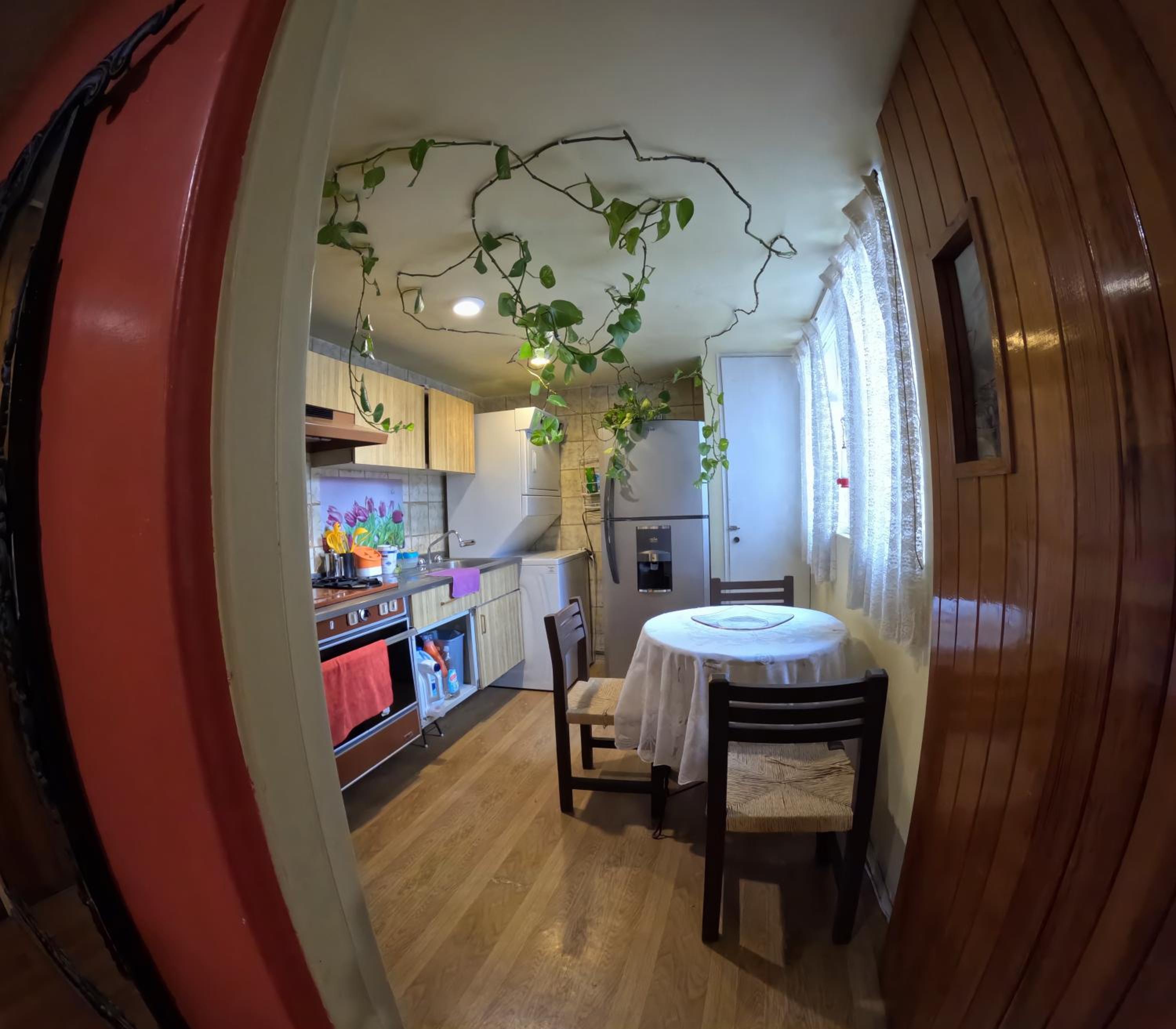 Neighbor of Frida Khalo, vintage stay in Coyoacán photo 4