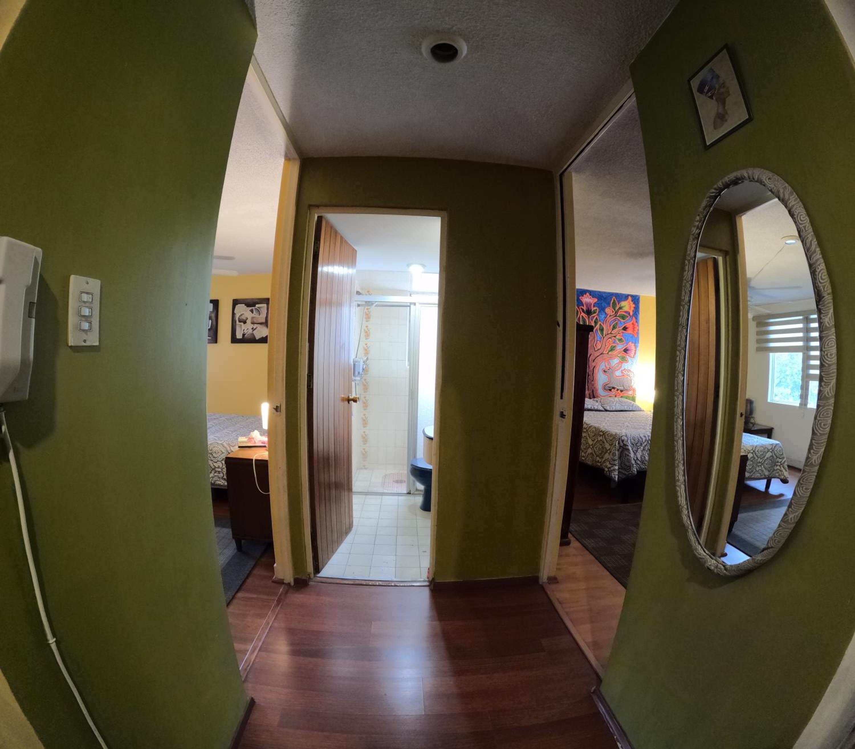 Neighbor of Frida Khalo, vintage stay in Coyoacán photo 5