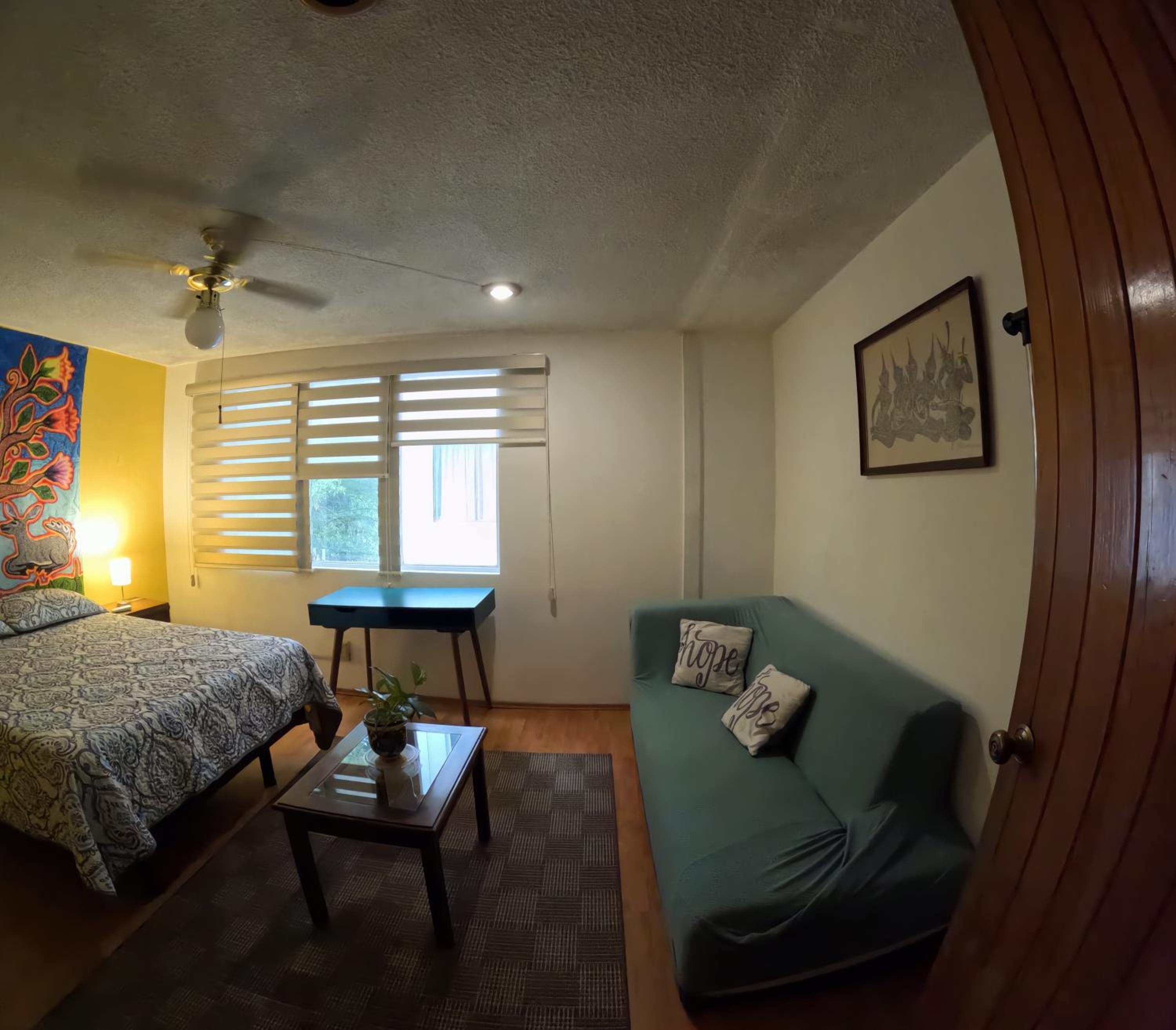 Neighbor of Frida Khalo, vintage stay in Coyoacán photo 3