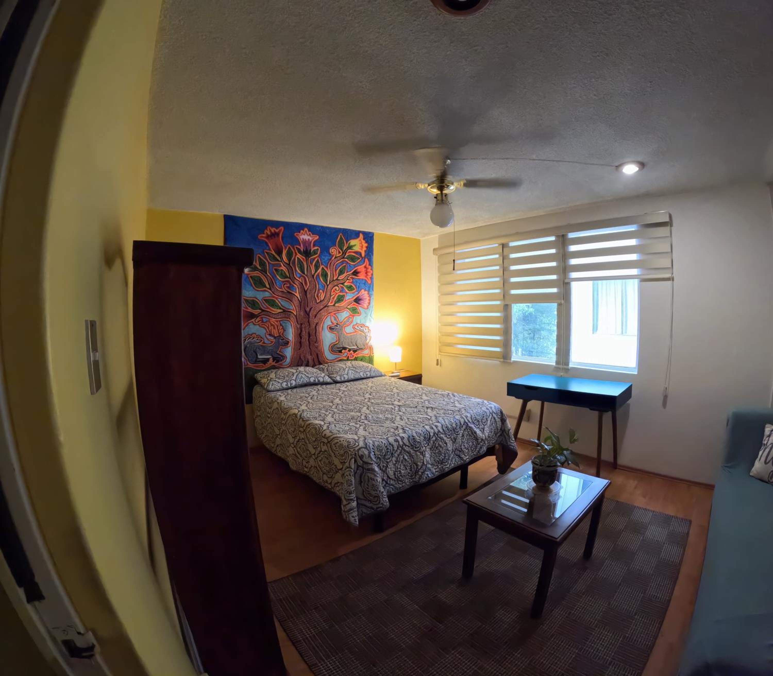 Neighbor of Frida Khalo, vintage stay in Coyoacán — Mexico City