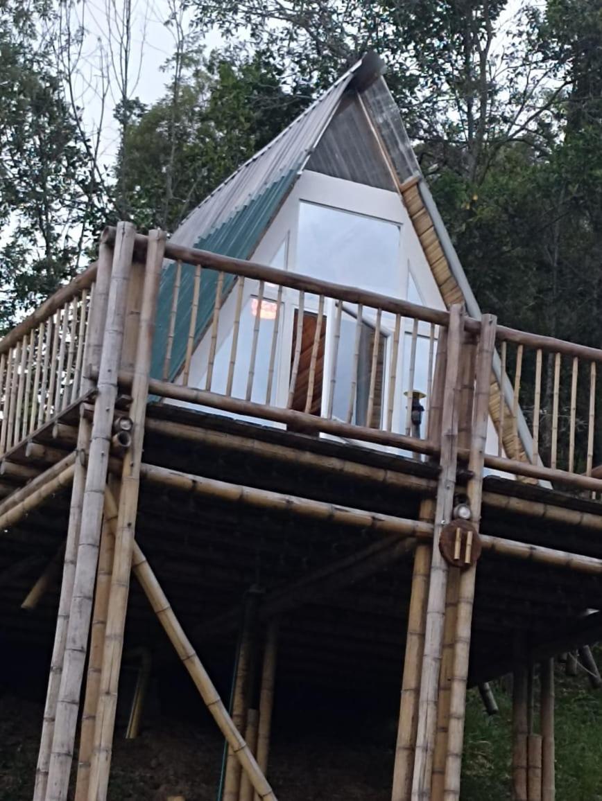 El Guadual Glamping