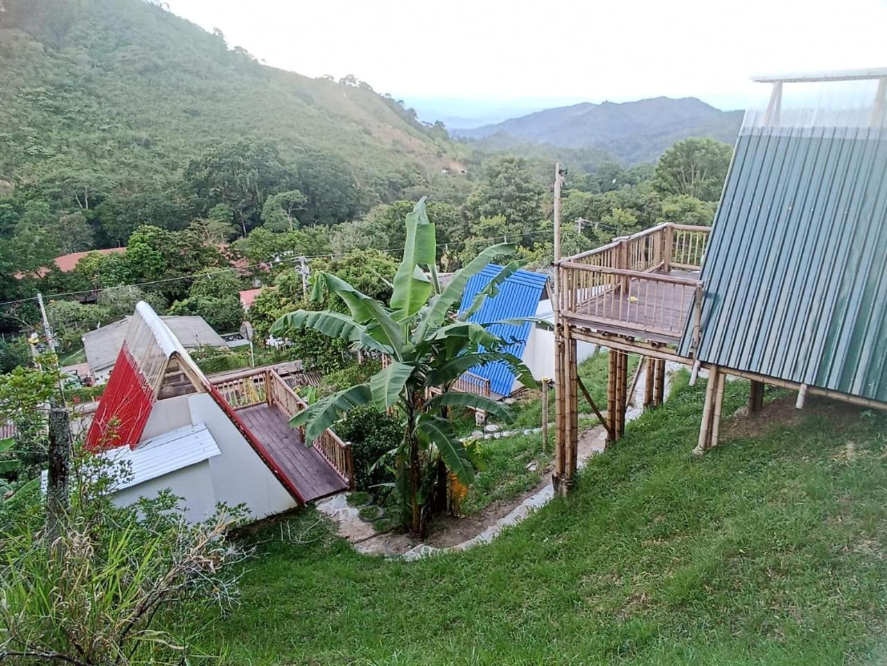 El Guadual Glamping