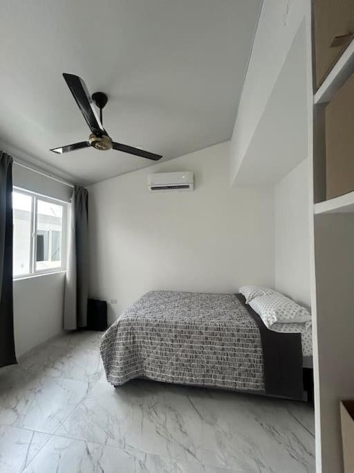 Bienvenidos a Casa Palmera Privada - Property Image 13