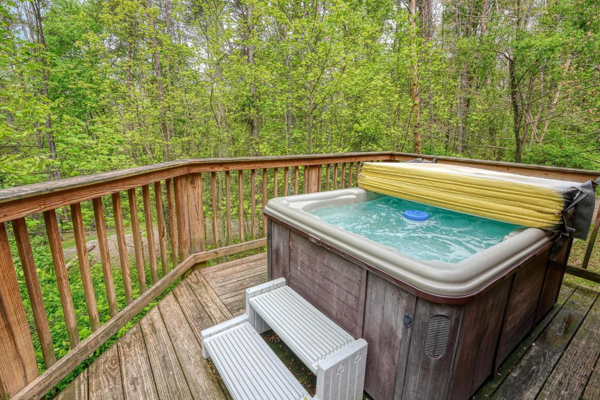 Blue Rose Cabins - Overlook Cabin view 4