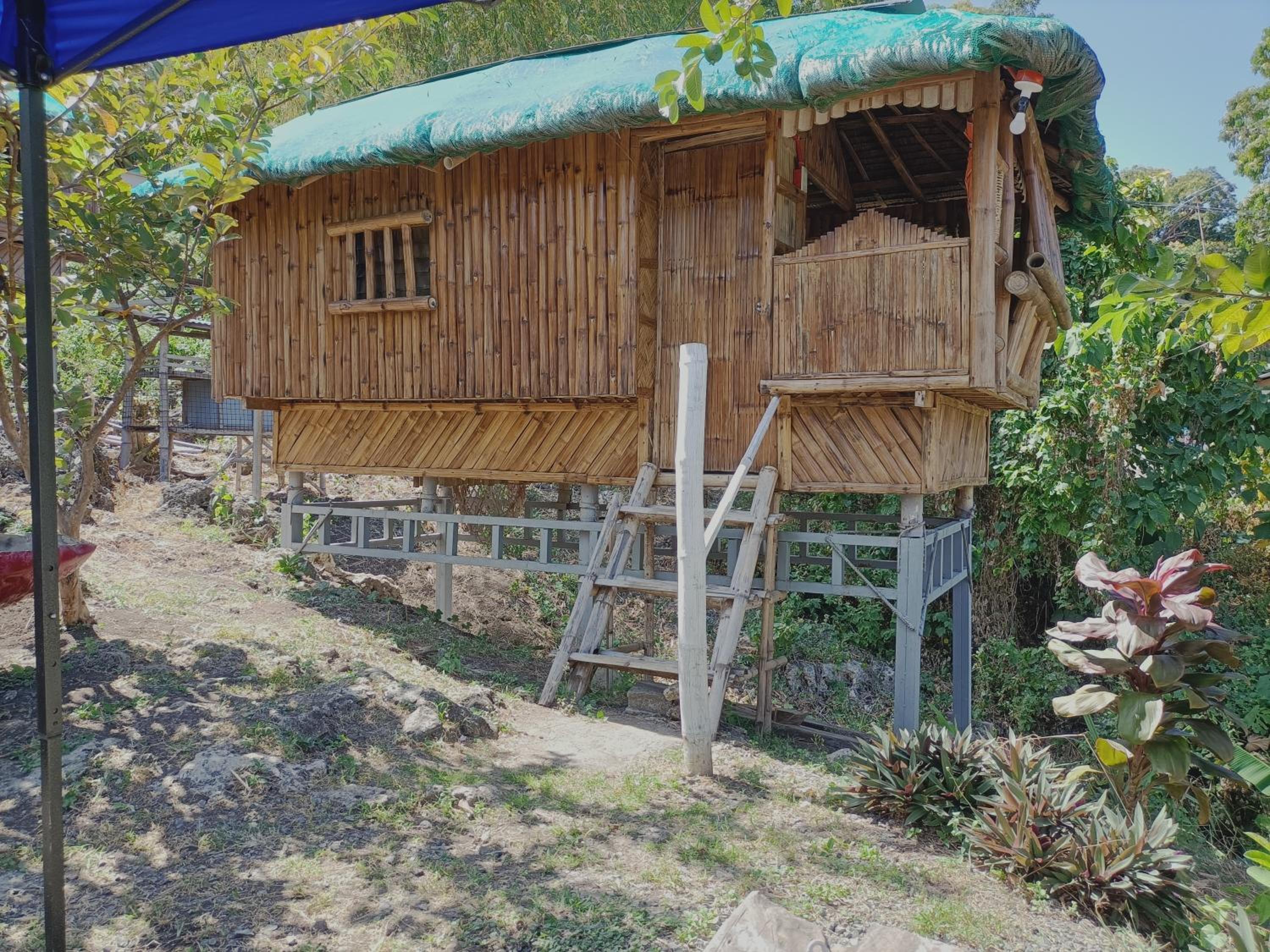Bon Joy's Transient House view 5