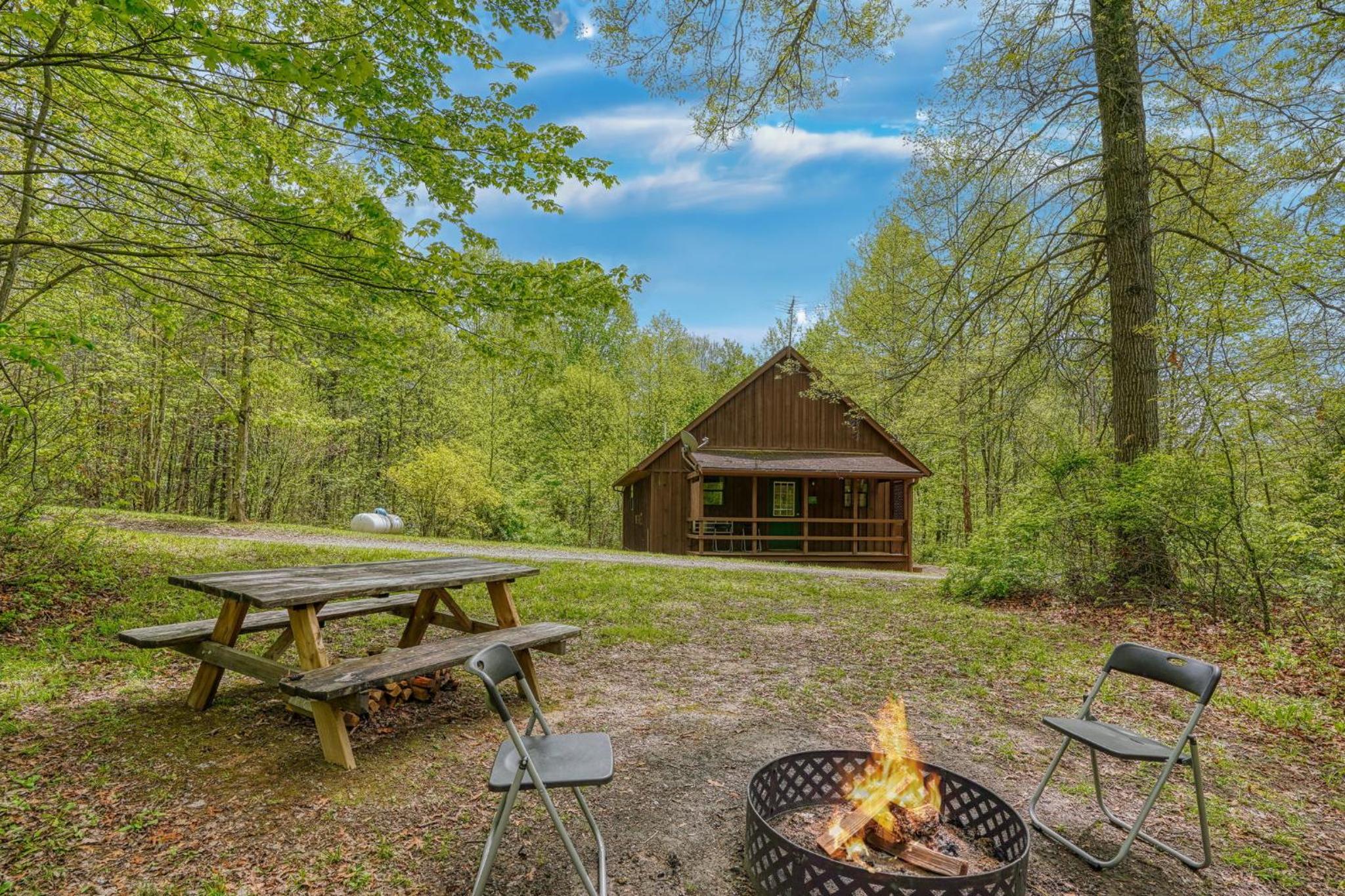 Blue Rose Cabins - Pinecrest Cabin view 3