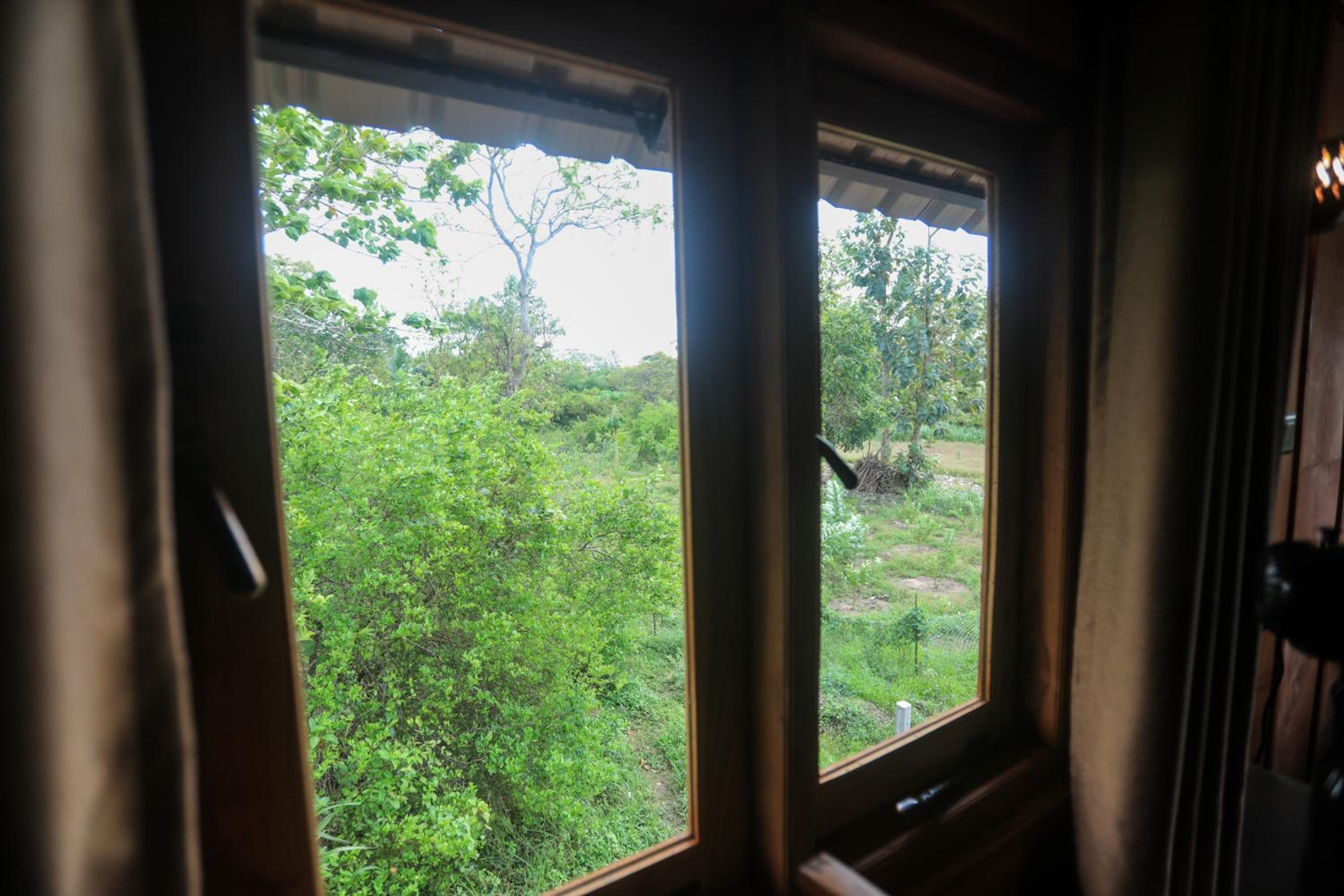 Lion Wood Treehouse