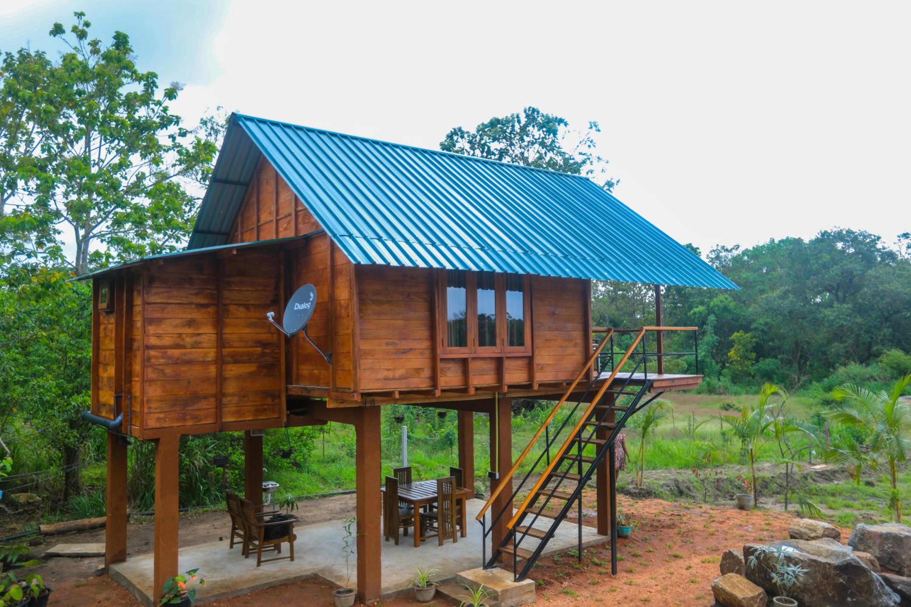 Lion Wood Treehouse