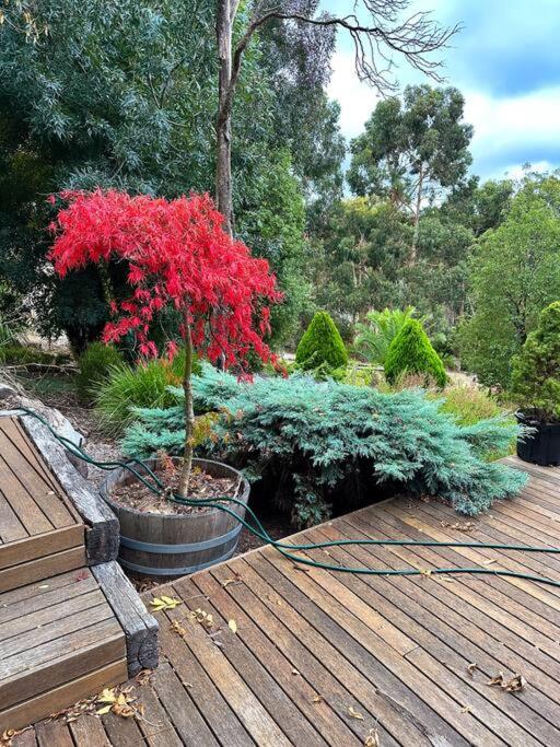 Funday Farm Adelaide Hills