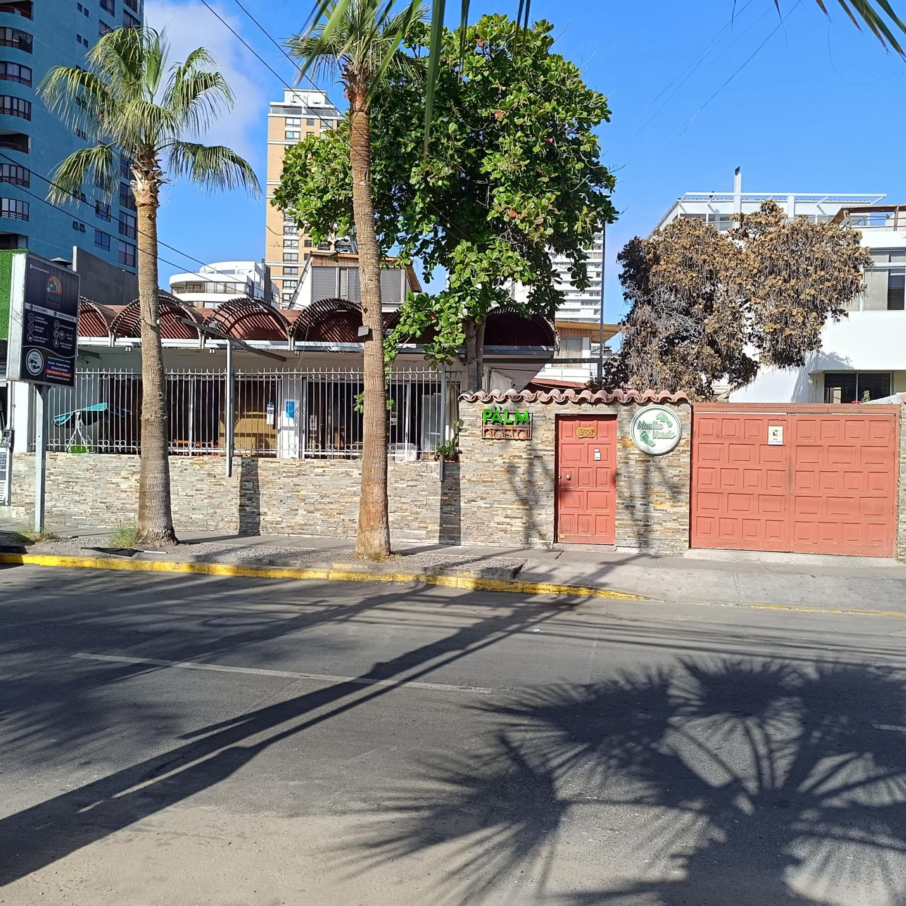 Palm Hostal