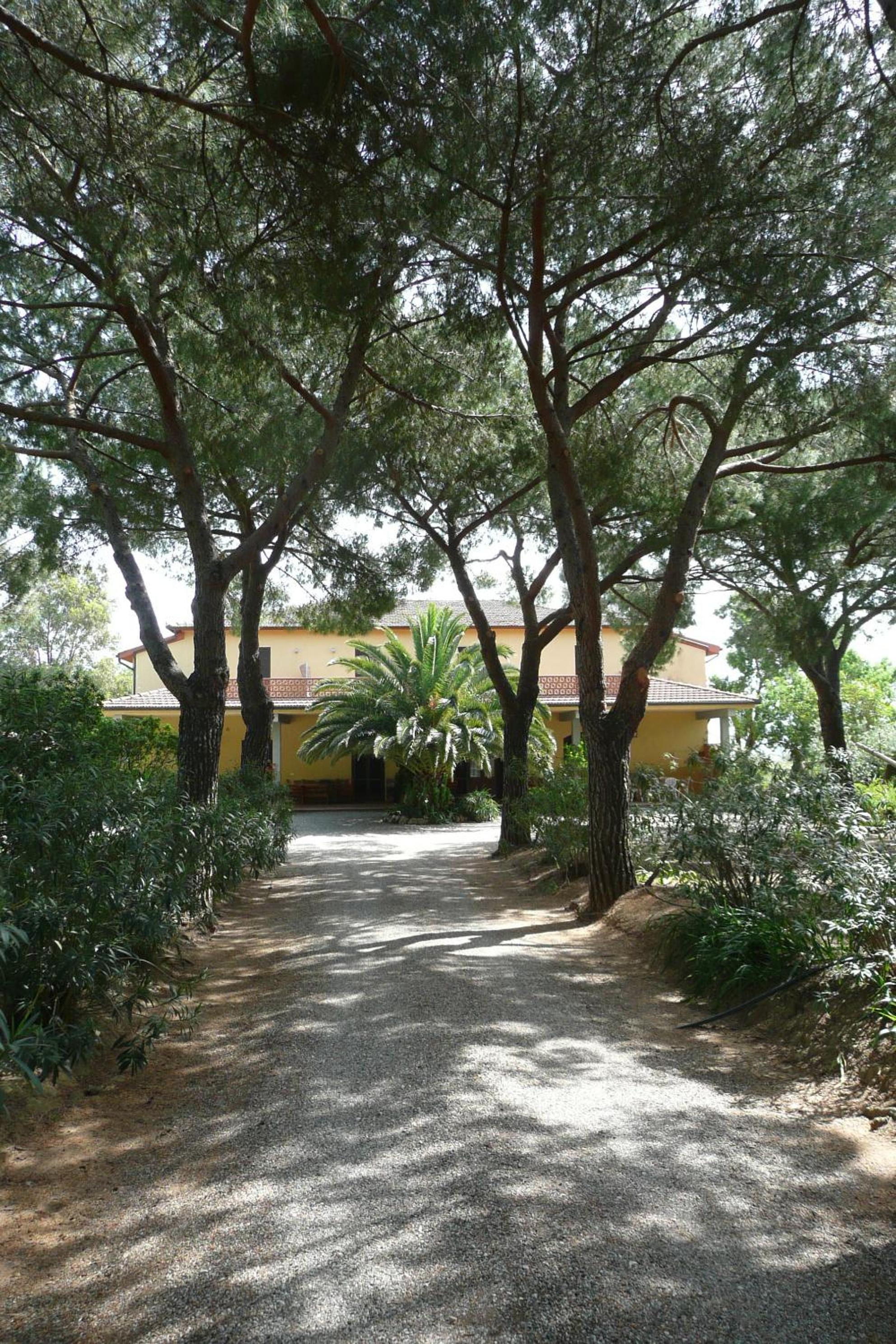 Photo 12