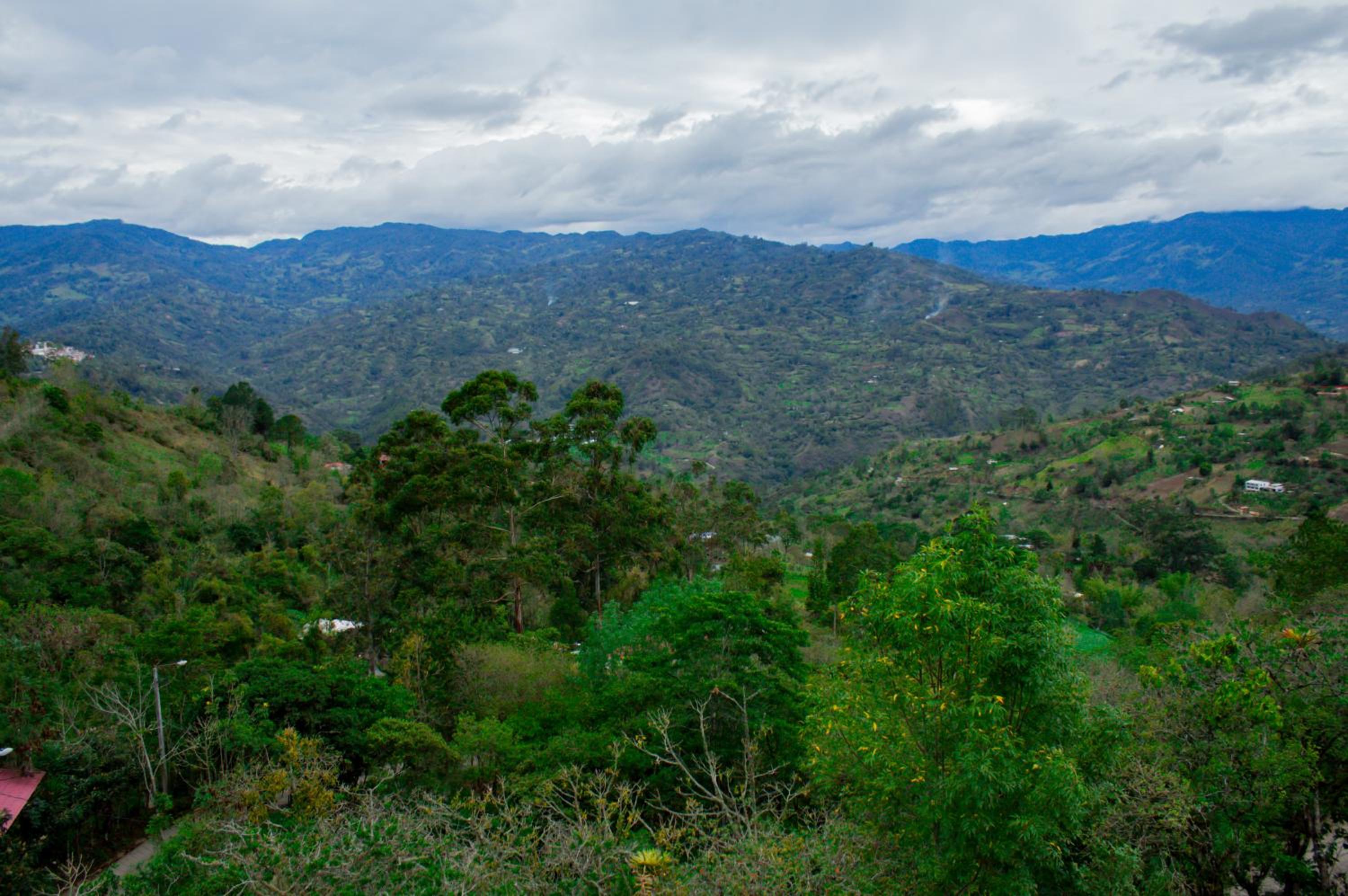 Cabaña de Cristal